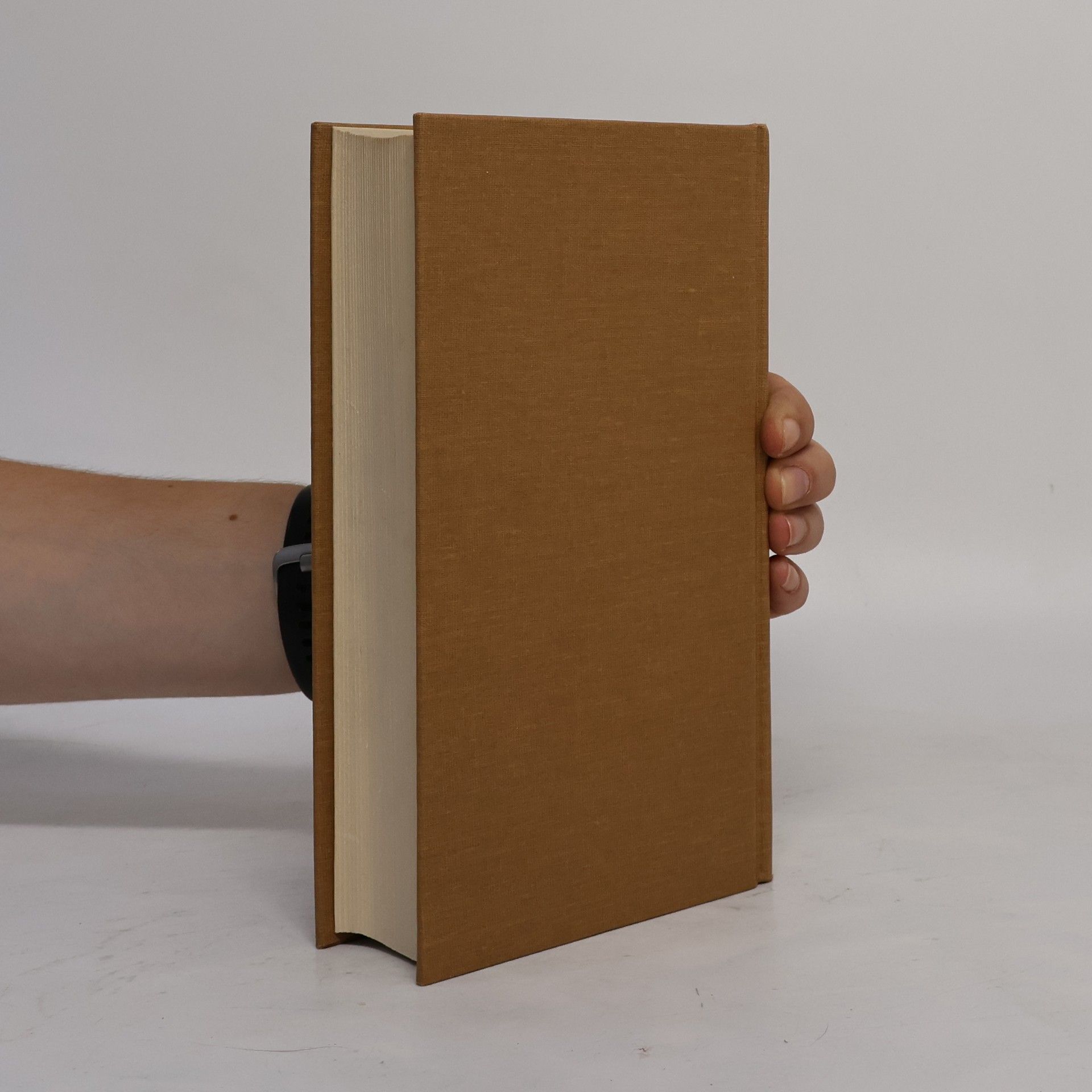 Laurence Sterne Život a názory blahorodého pana Tristrama Shandyho