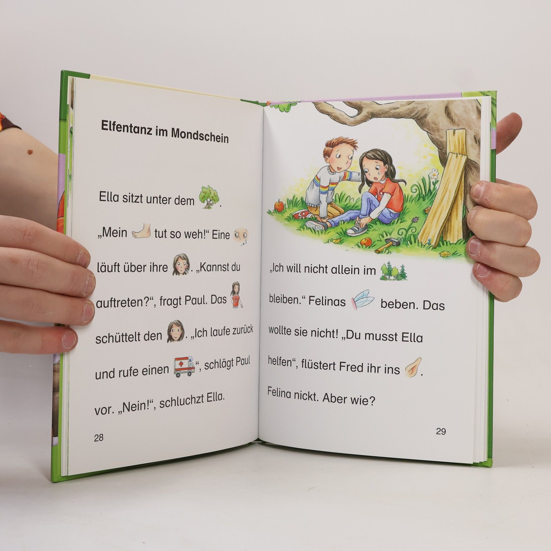 Maja von Vogel Die kleine Elfe und der Freundezauber