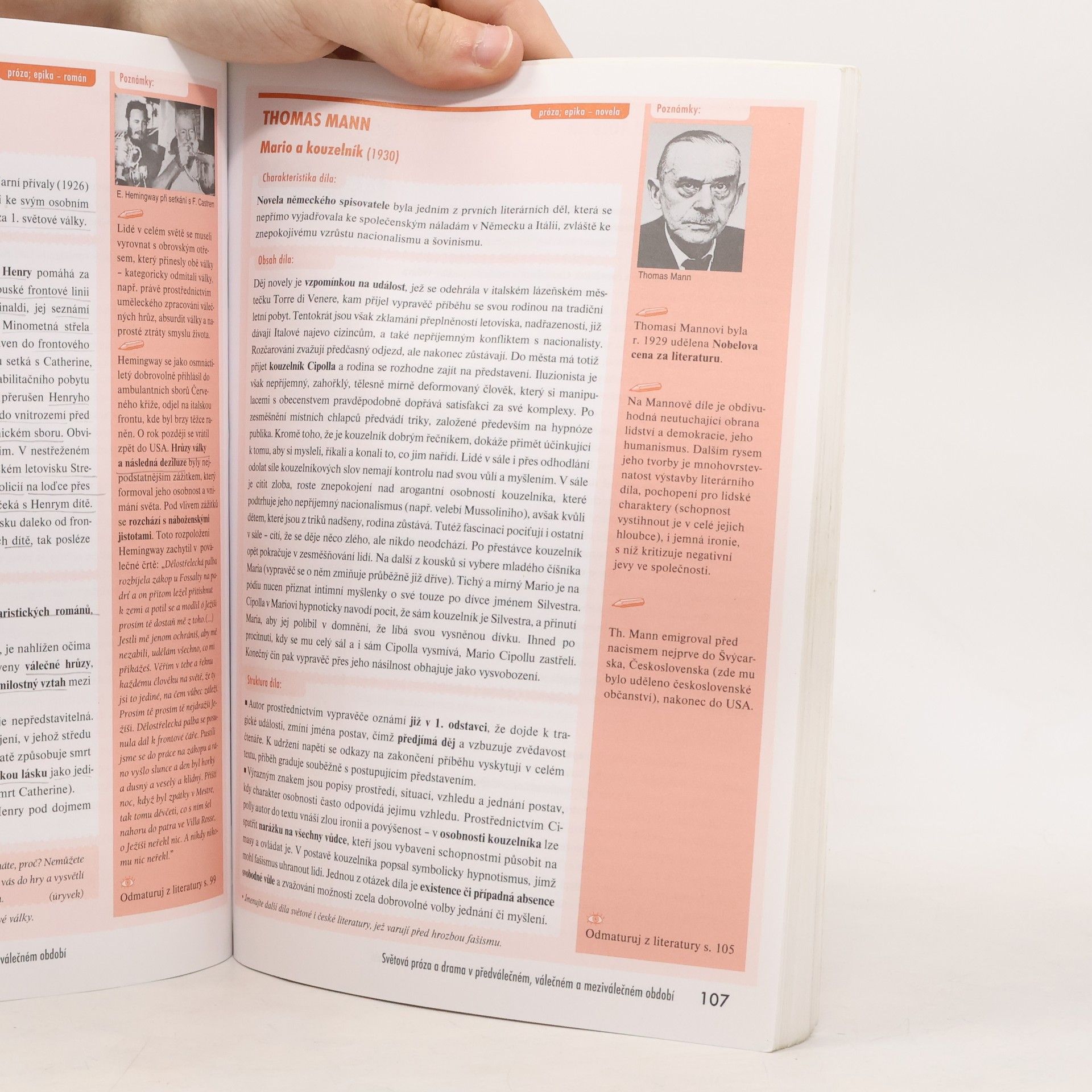 Iveta Havlíčková Odmaturuj! z literatury 2