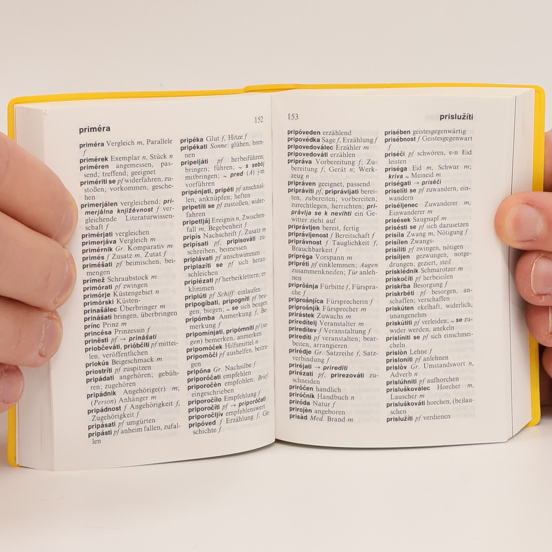 Helene Perné Langenscheidts Universal-Wörterbuch Slowenisch