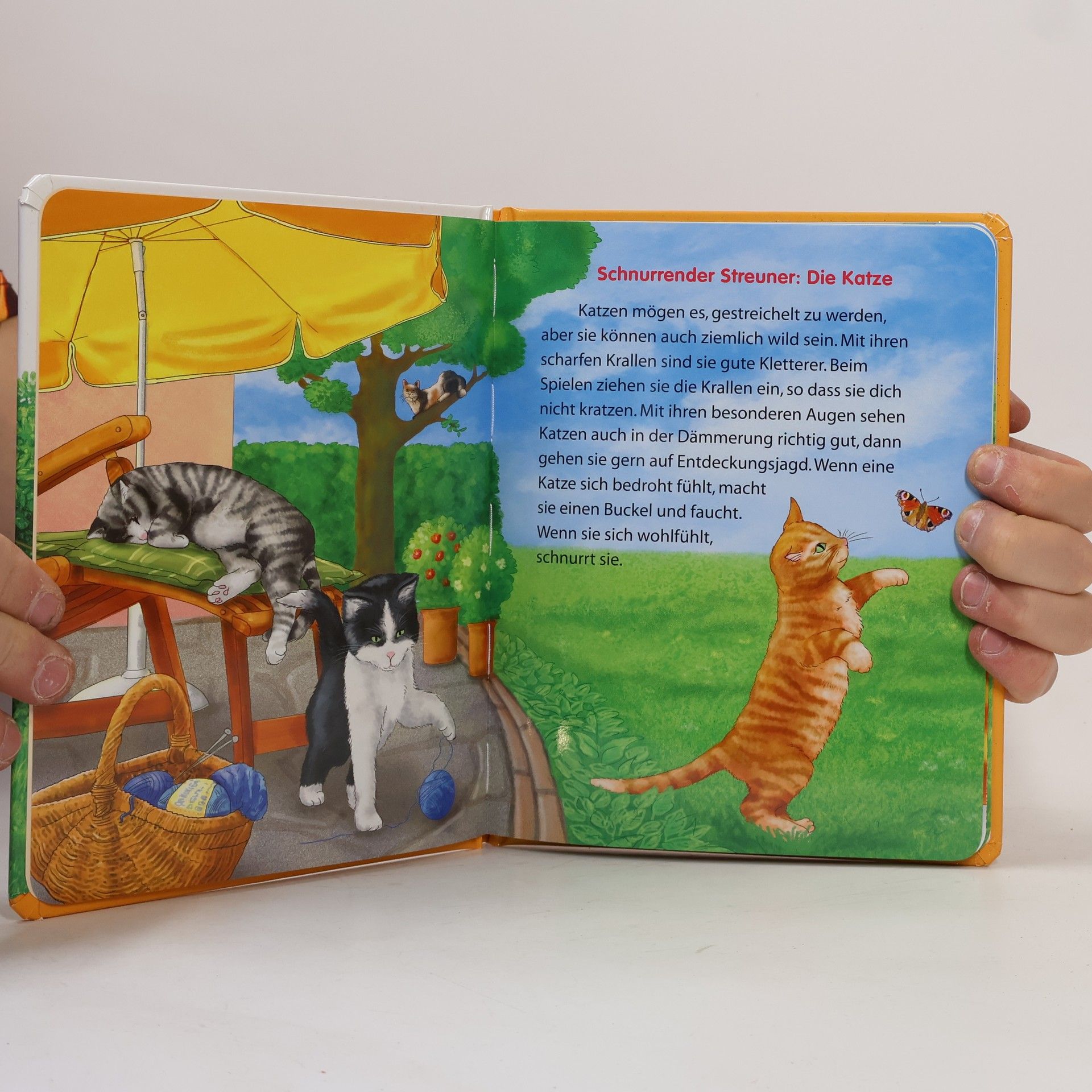Various authors Kinderwissen Kompakt. Haustiere