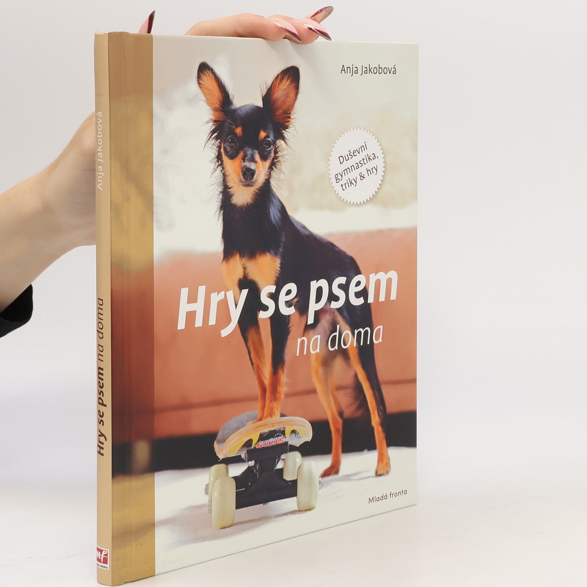 Hry se psem na doma: Duševní gymnastika, triky & hry