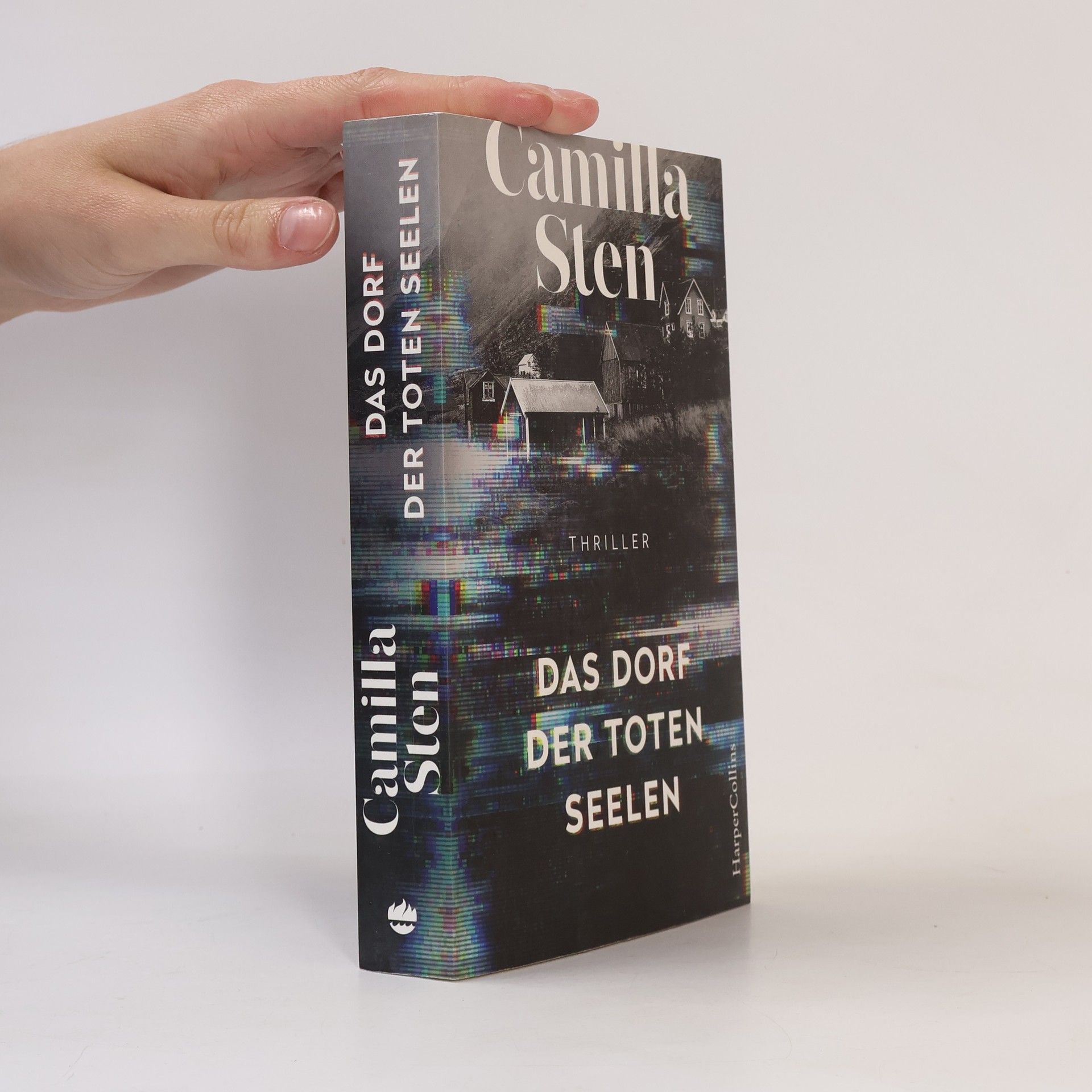 Camilla Sten Das Dorf der toten Seelen