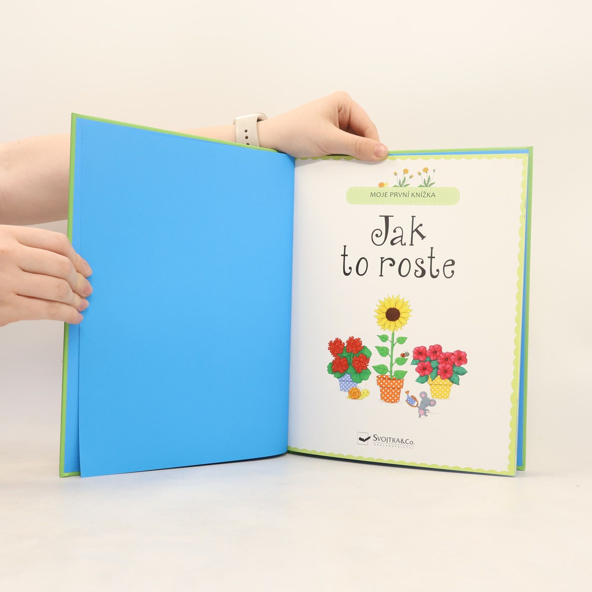 Felicity Brooks Moje první knížka. Jak to roste
