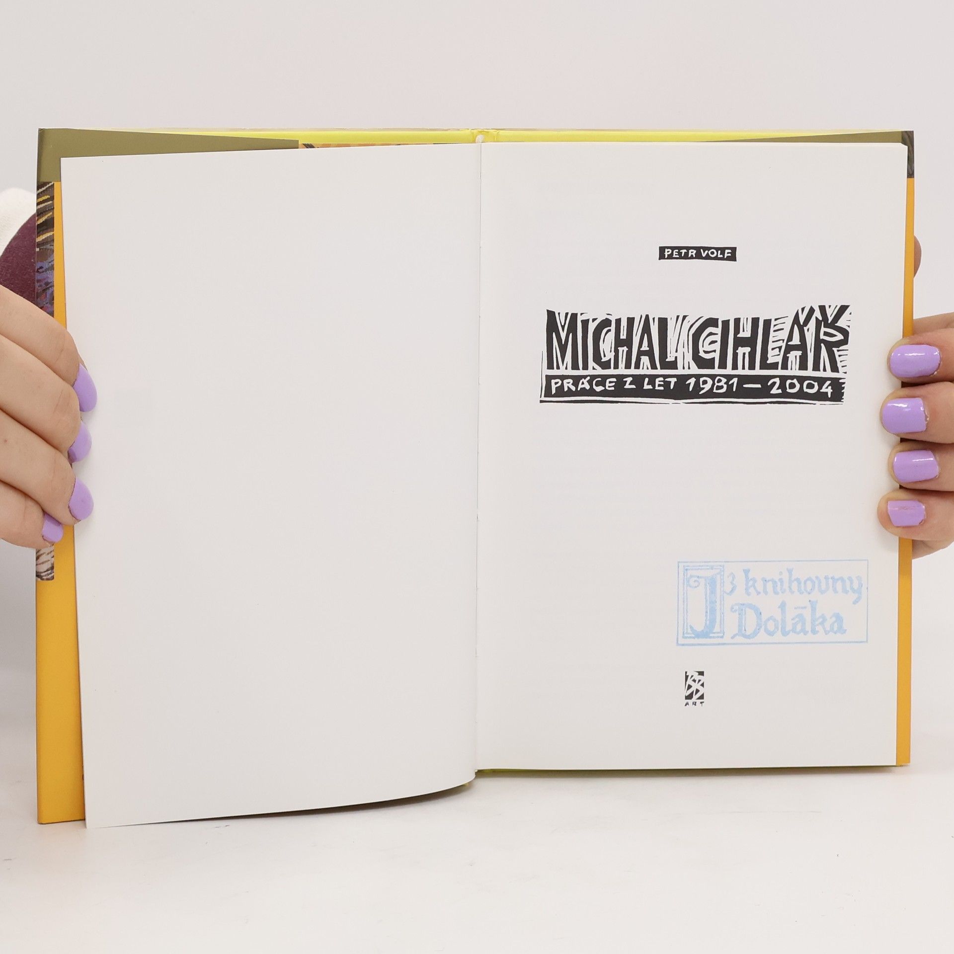 Petr Volf Michal Cihlář. Práce z let 1981-2004