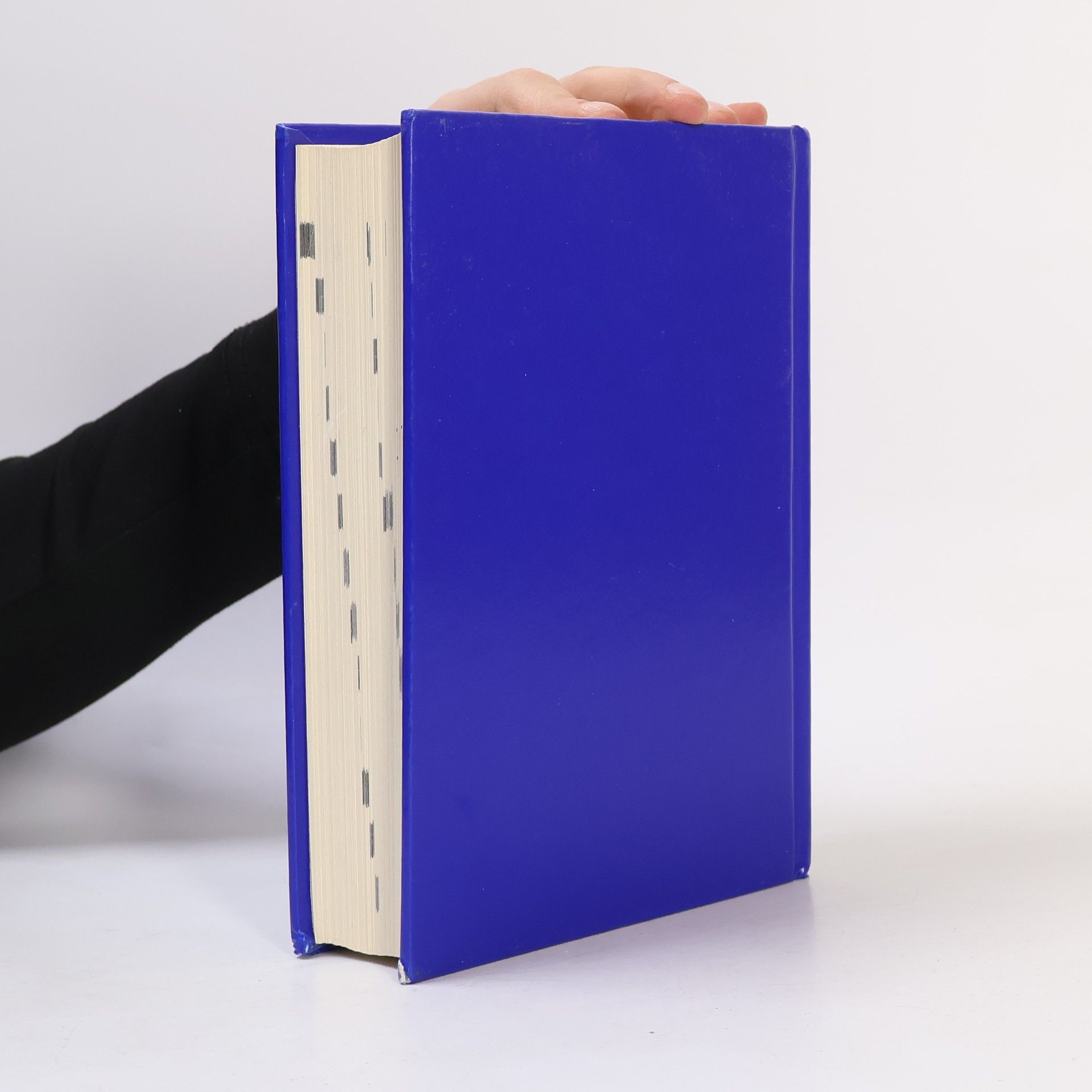 Kolektiv autorů Europa wörterbuch simultan dictionary