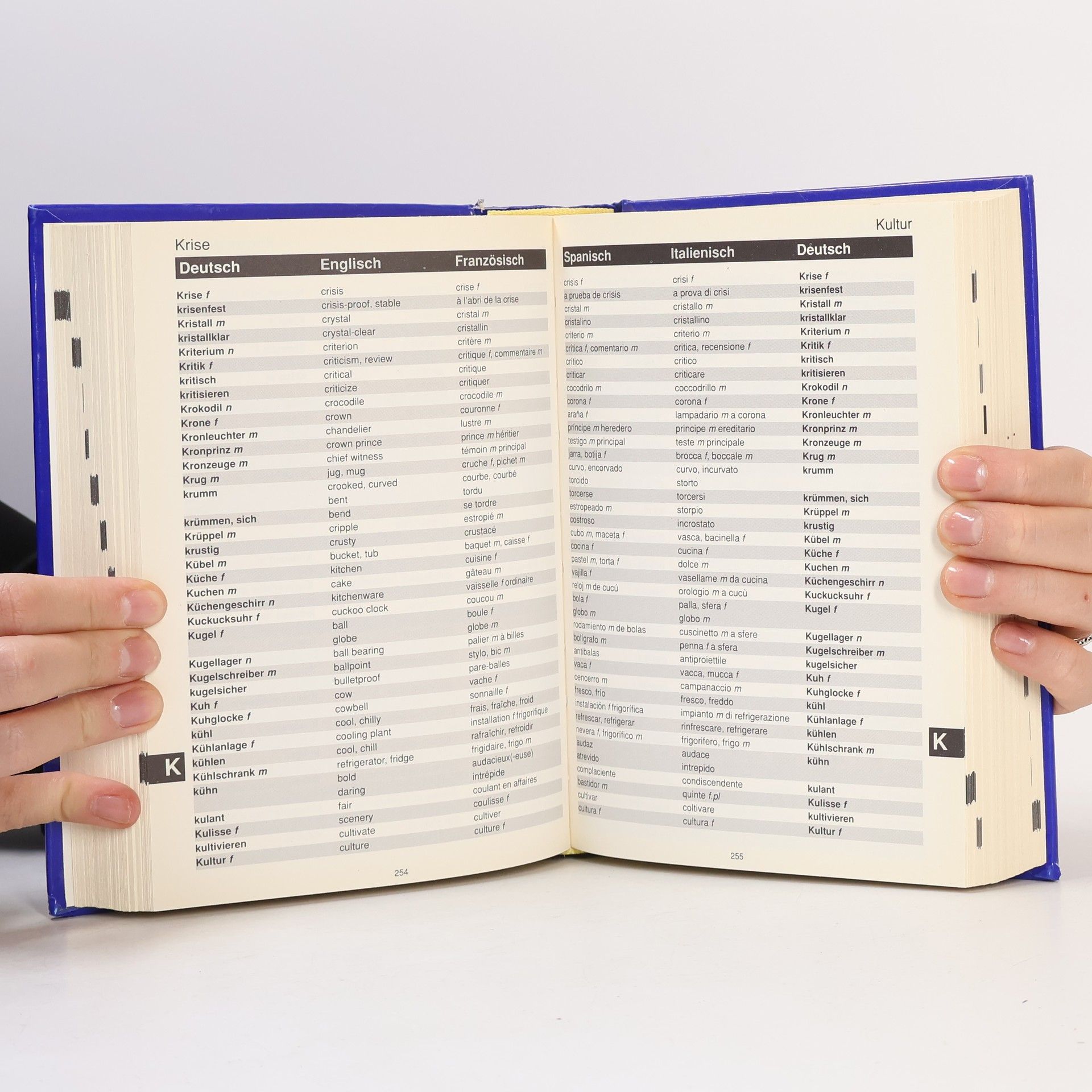 Kolektiv autorů Europa wörterbuch simultan dictionary