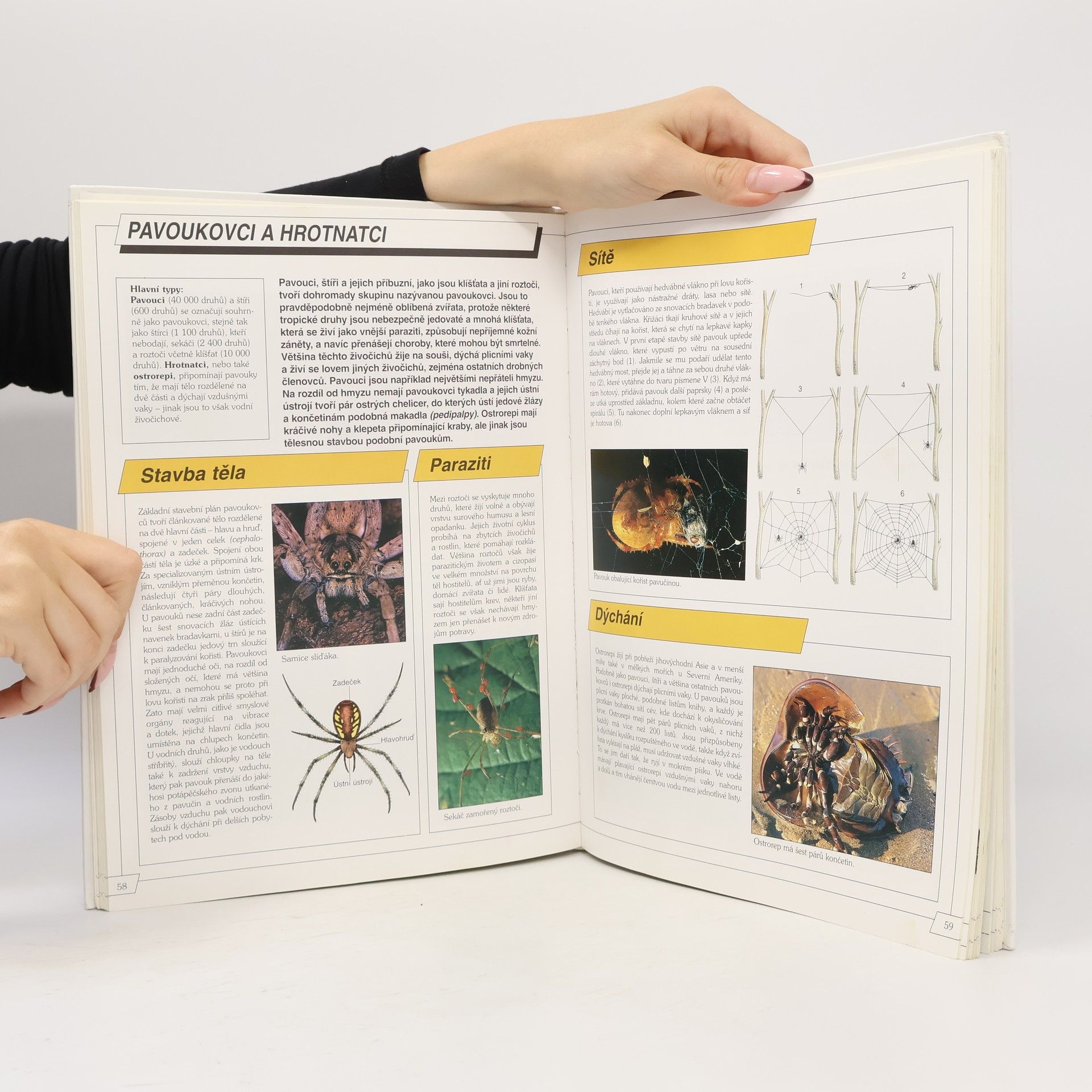 Various authors Velká encyklopedie přírody