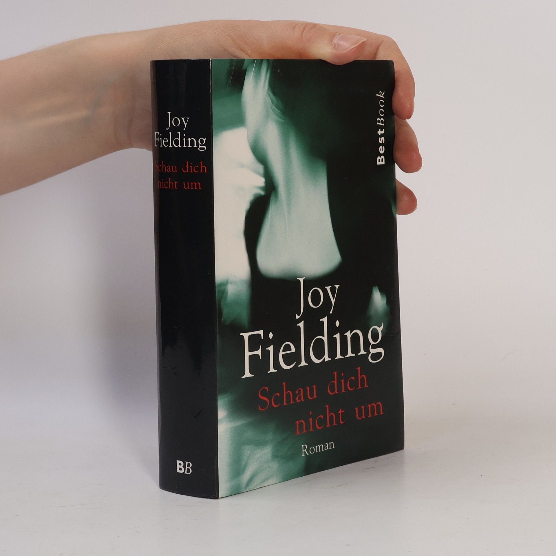 Joy Fielding Schau dich nicht um