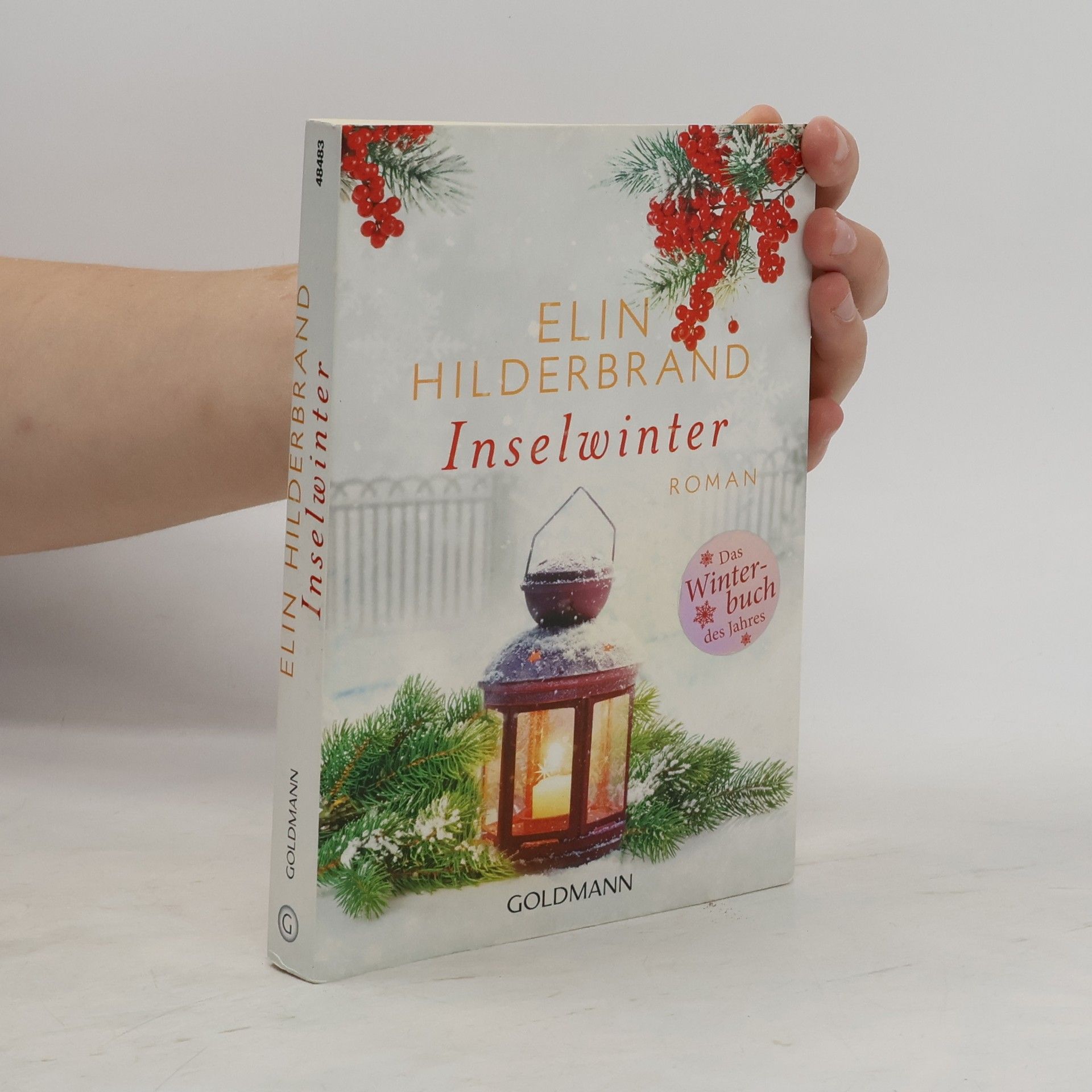 Elin Hilderbrand Inselwinter