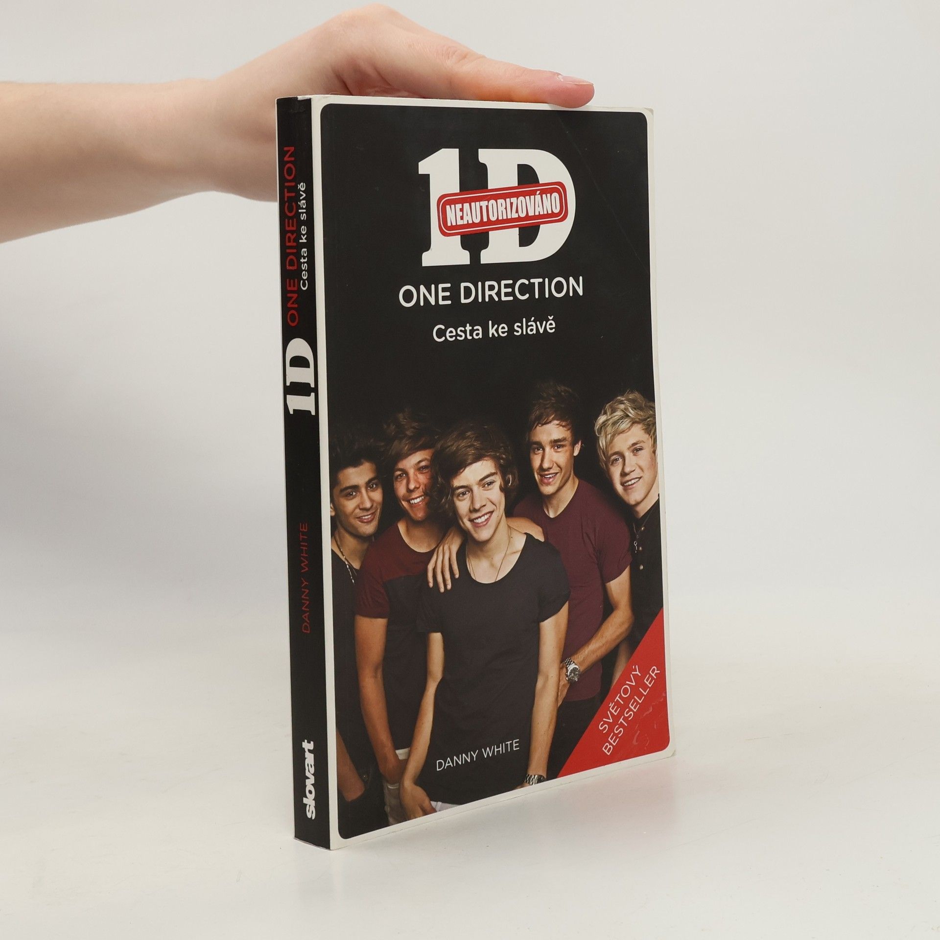Danny White 1D - One Direction: Cesta ke slávě