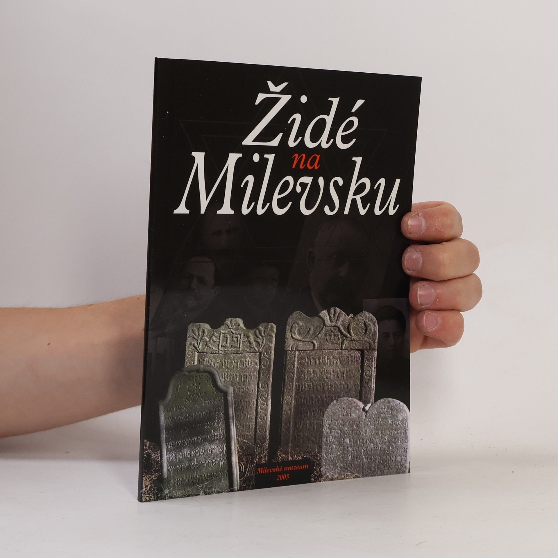 Vladimír Šindelář Židé na Milevsku