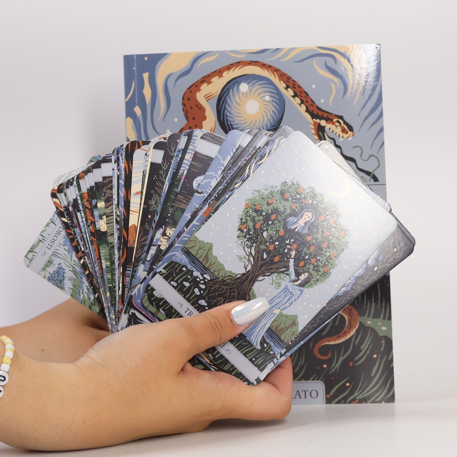 Janet Piedilato Mystický tarot snů - Životní rady z hlubin podvědomí