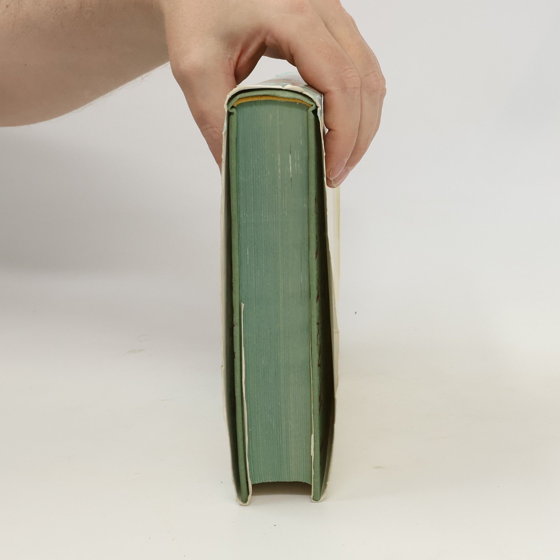Hardin Craig Dějiny anglické literatury II
