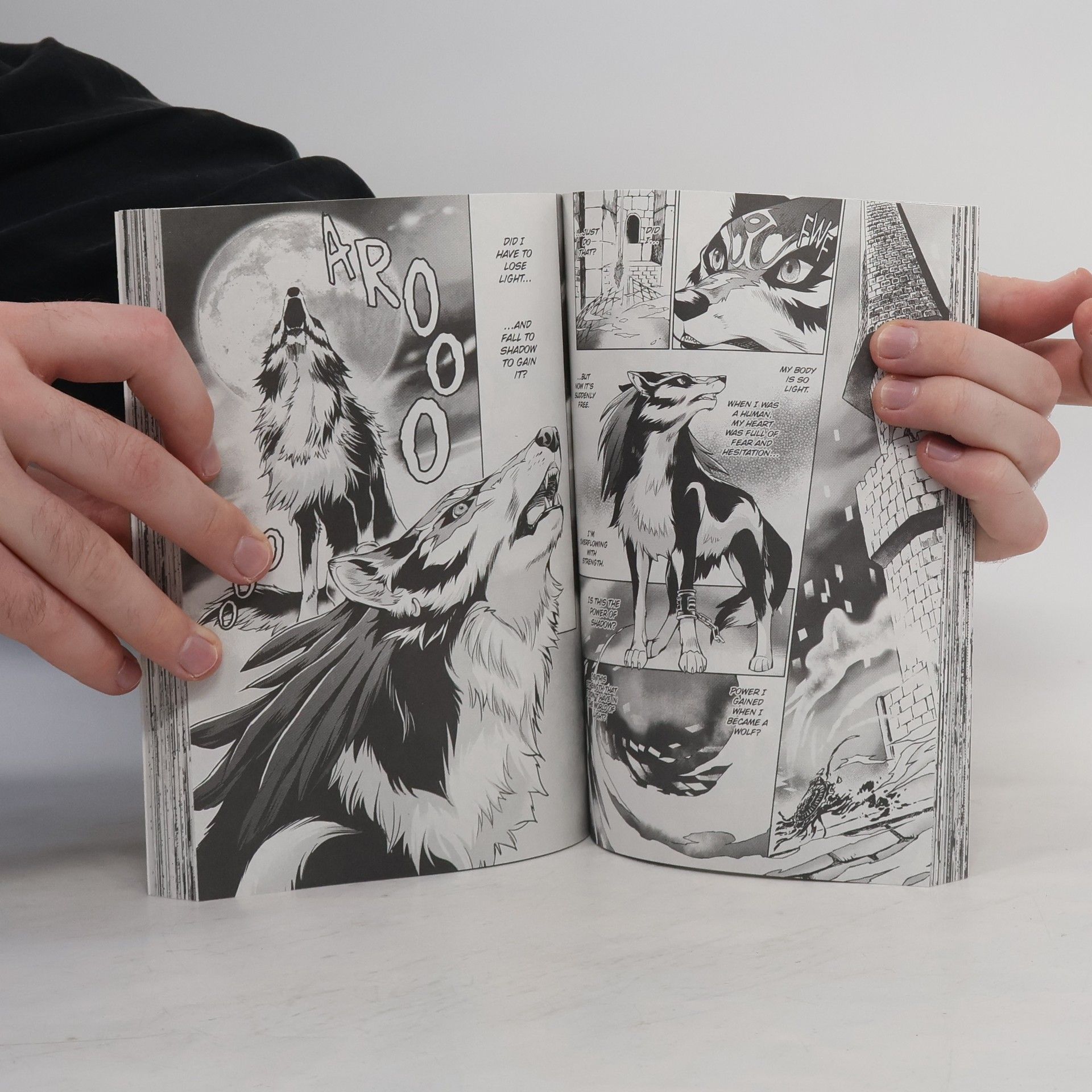 Akira Himekawa The Legend of Zelda: Twilight Princess, Vol. 2
