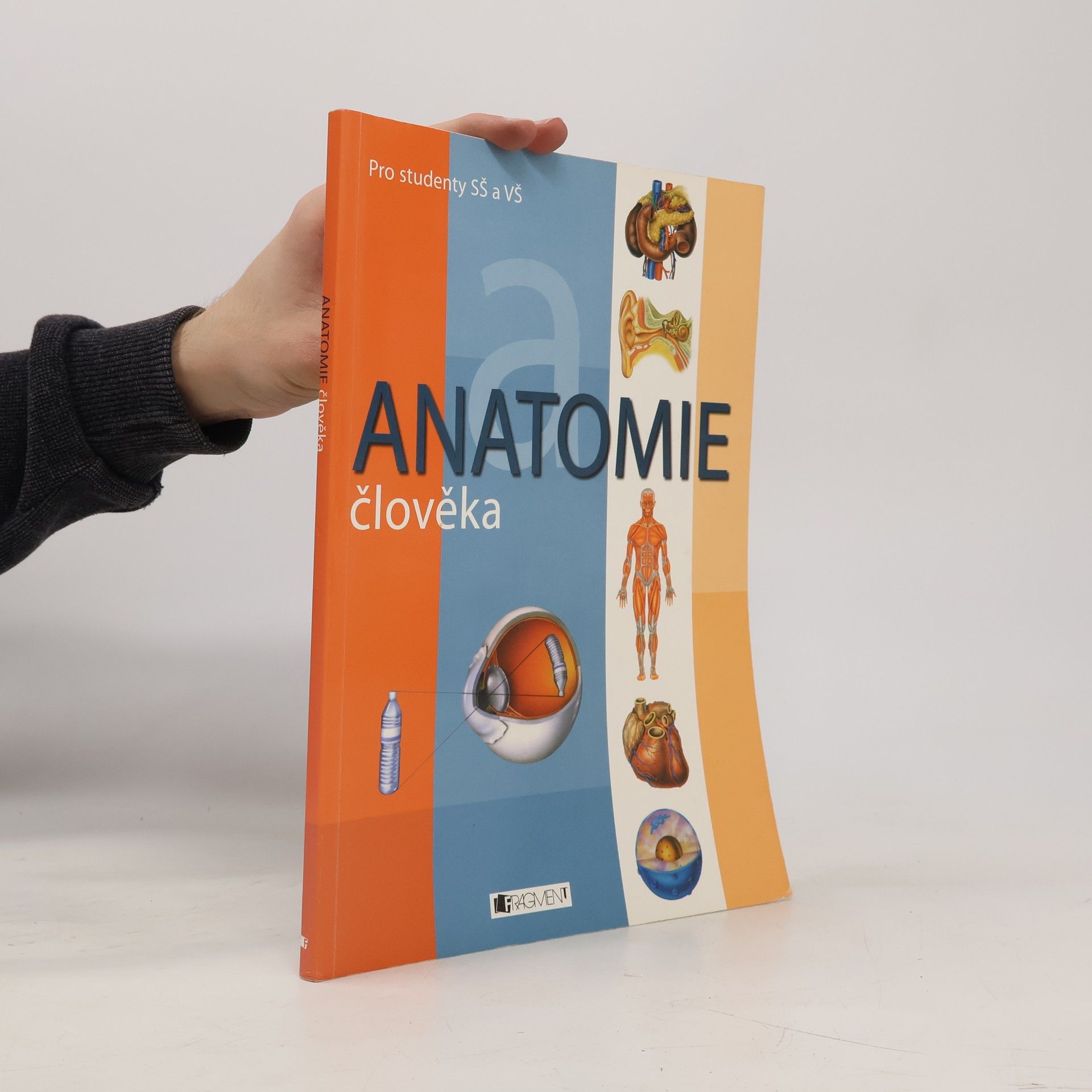 Adolfo Cassan Anatomie člověka