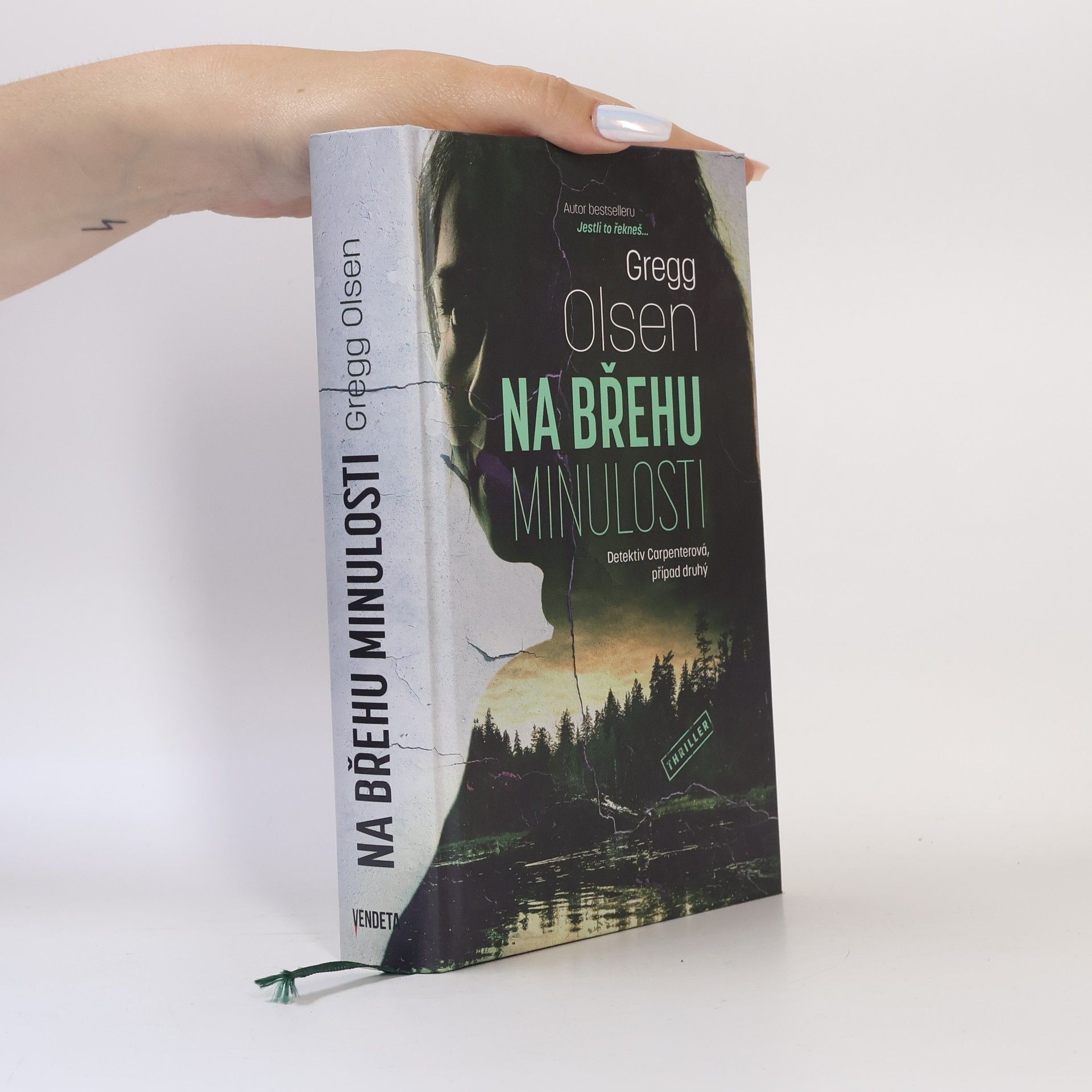 Gregg Olsen Na břehu minulosti