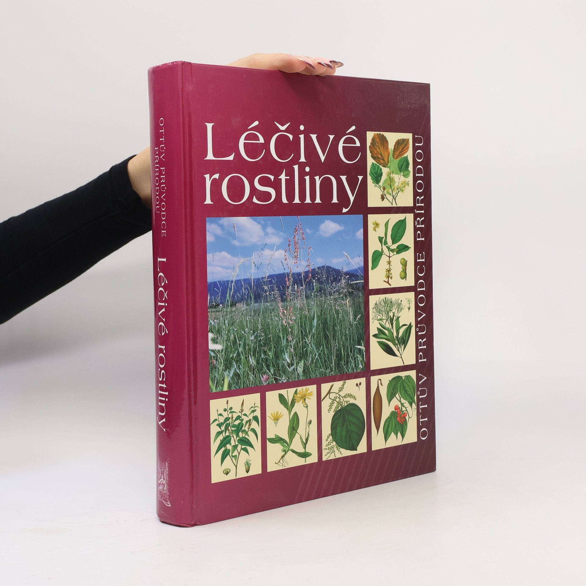 Léčivé rostliny