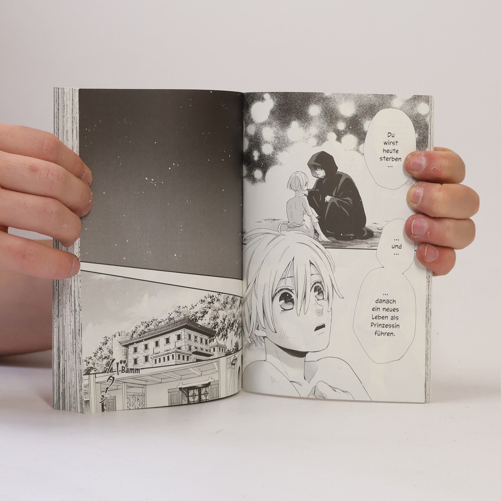 Rikachi Nina. Die Sterne sind dein Schicksal 01