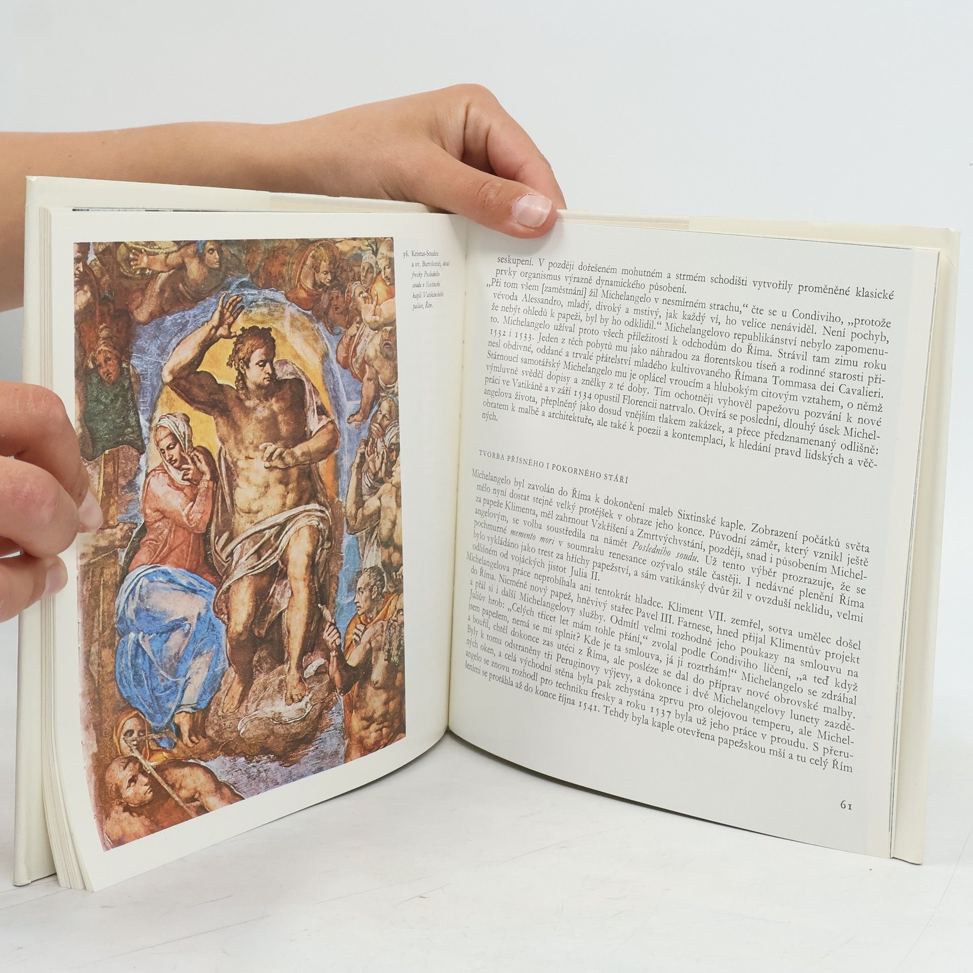 Oldřich J. Blažíček Michelangelo