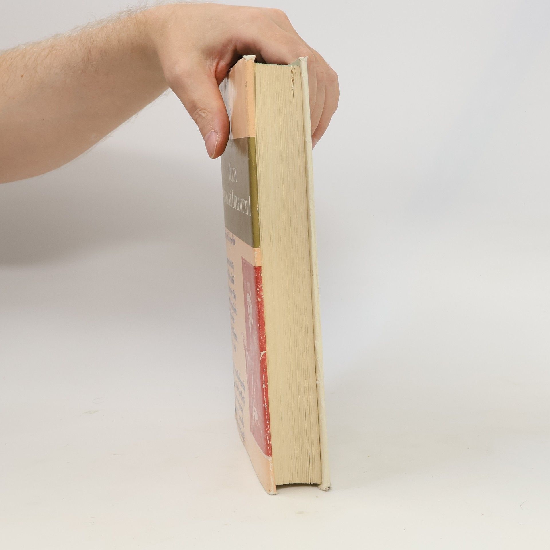 Hardin Craig Dějiny anglické literatury 1.