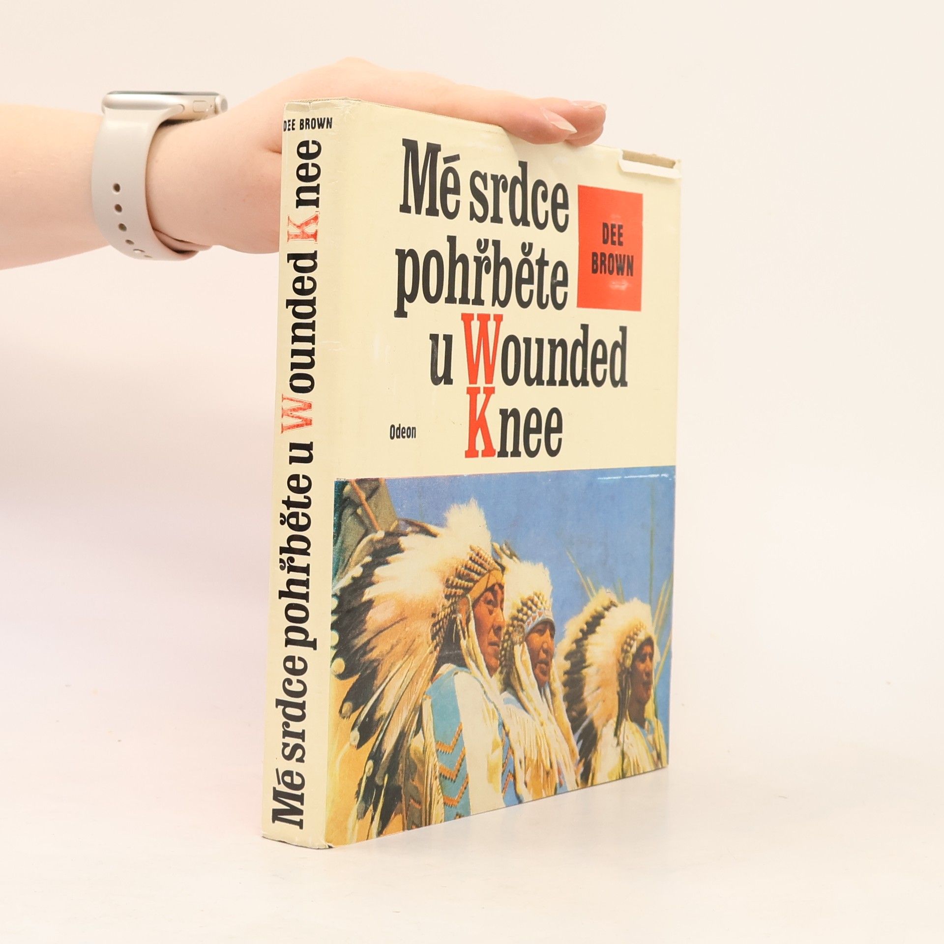 Mé srdce pohřběte u Wounded Knee