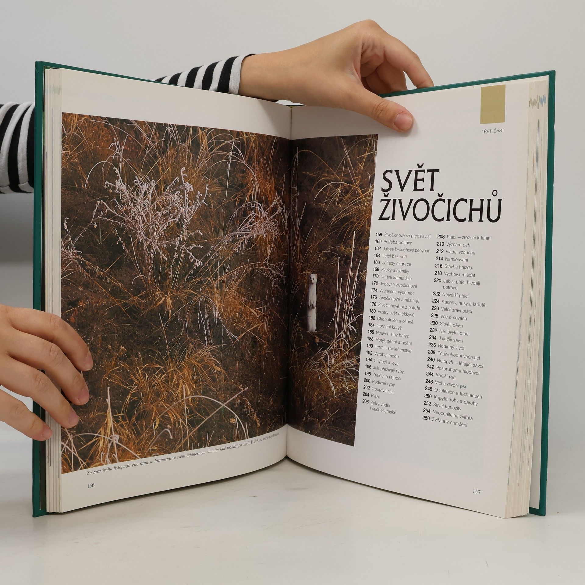 Collectif d'auteurs ABC přírody
