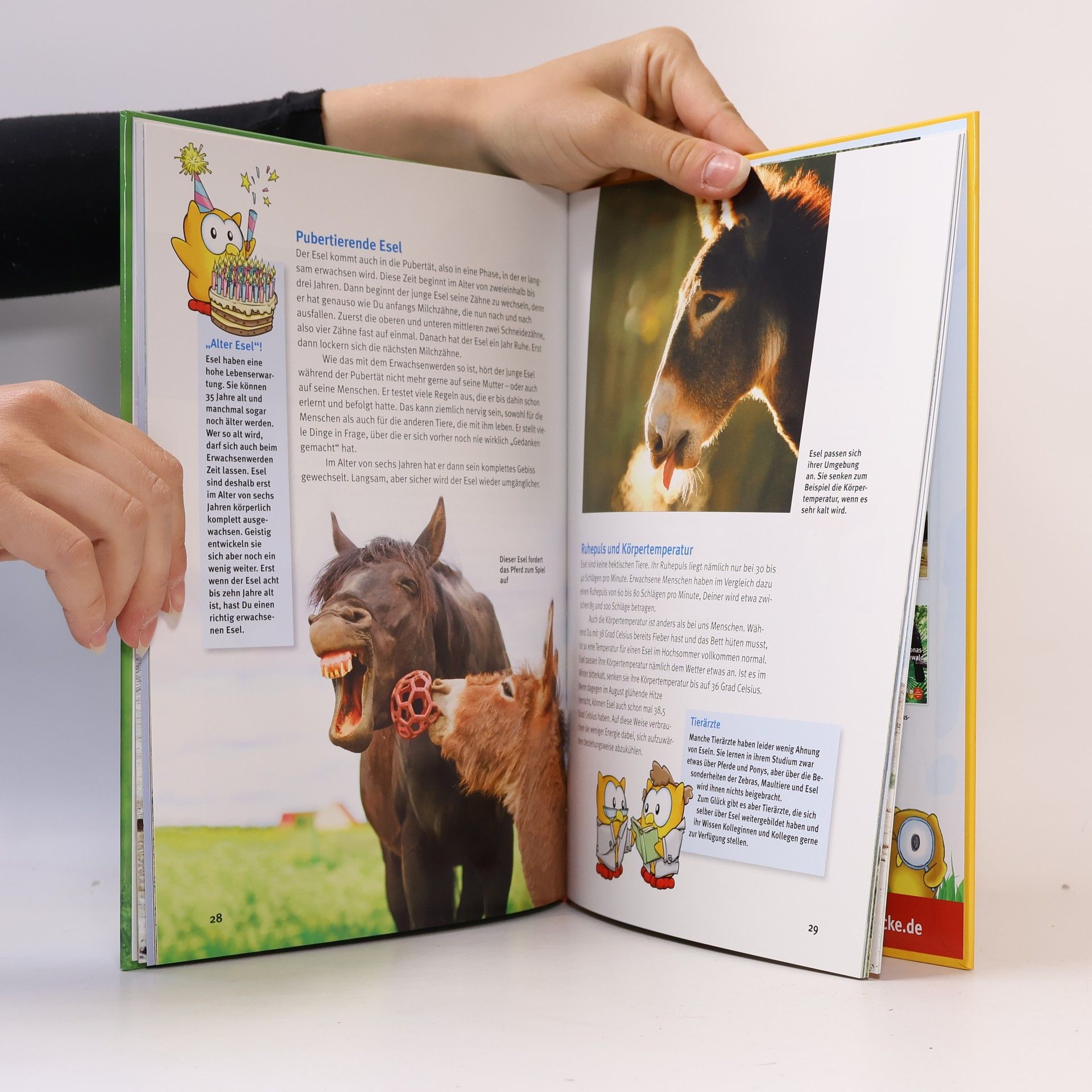 Judith Schmidt Entdecke - Die Reihe mit der Eule: Kindersachbuchreihe - 32: Entdecke die Esel