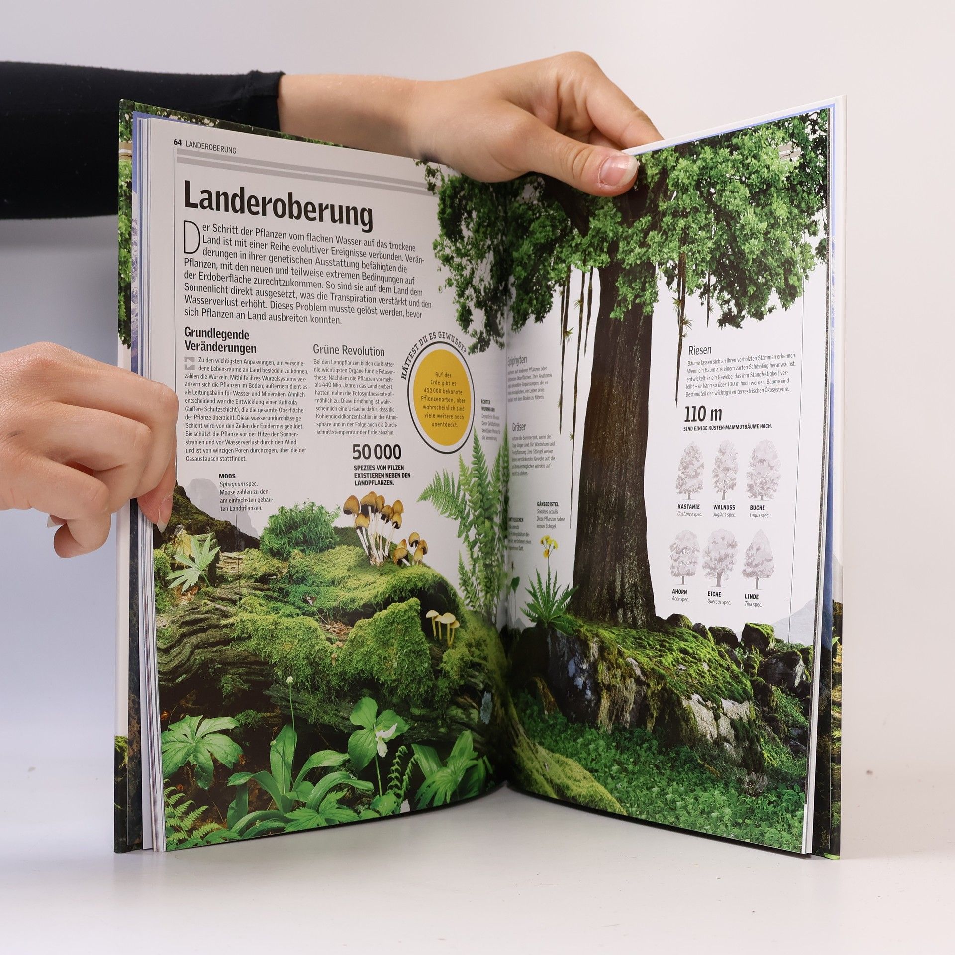 Auteurscollectief Unsere Welt