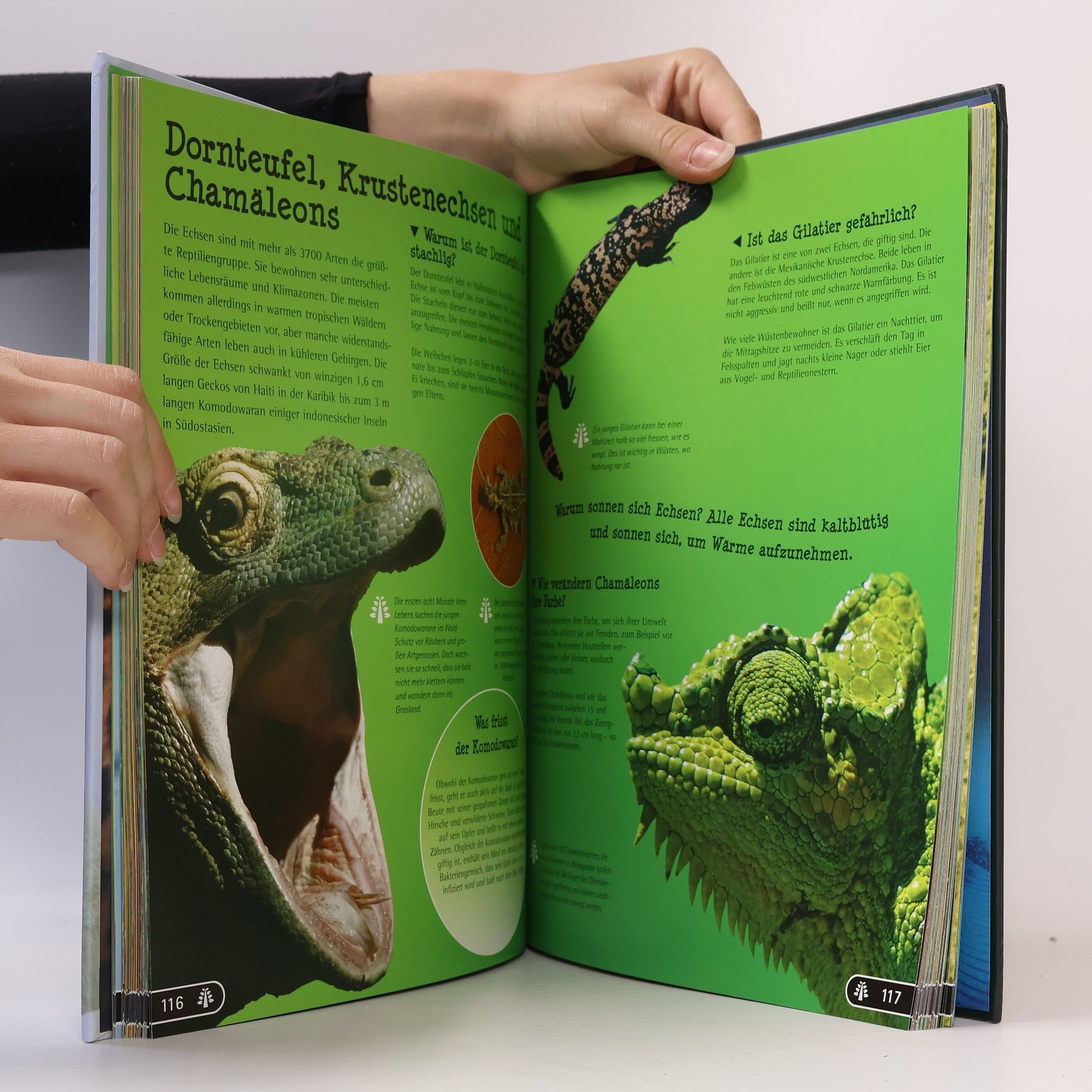 Collectif d'auteurs Wissen - Das grosse Buch der Tiere