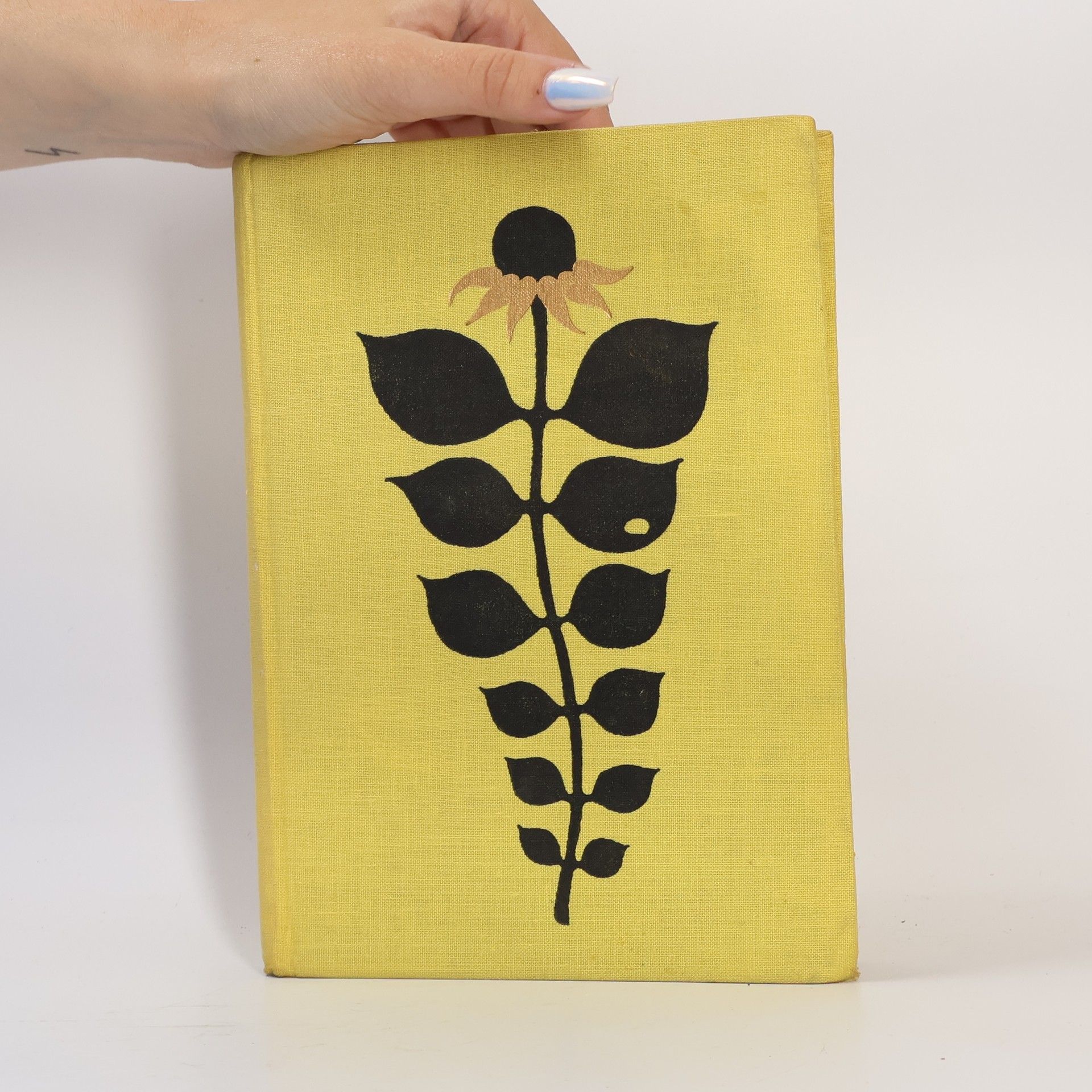 Kolektiv autorů Almanach Květen