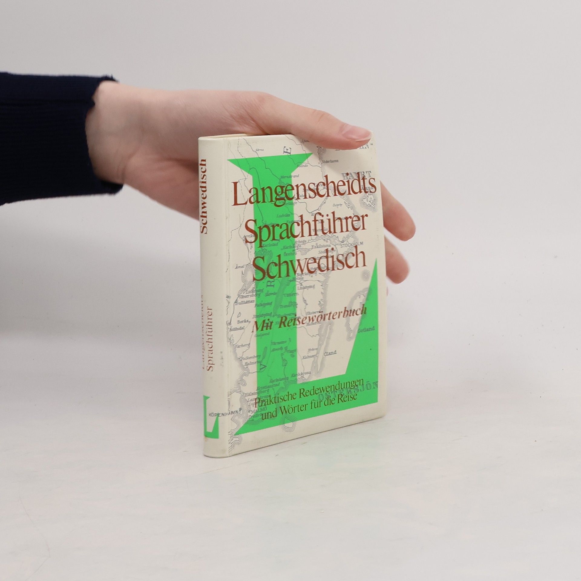 AA.VV. Langenscheidts Sprachführer Schwedisch