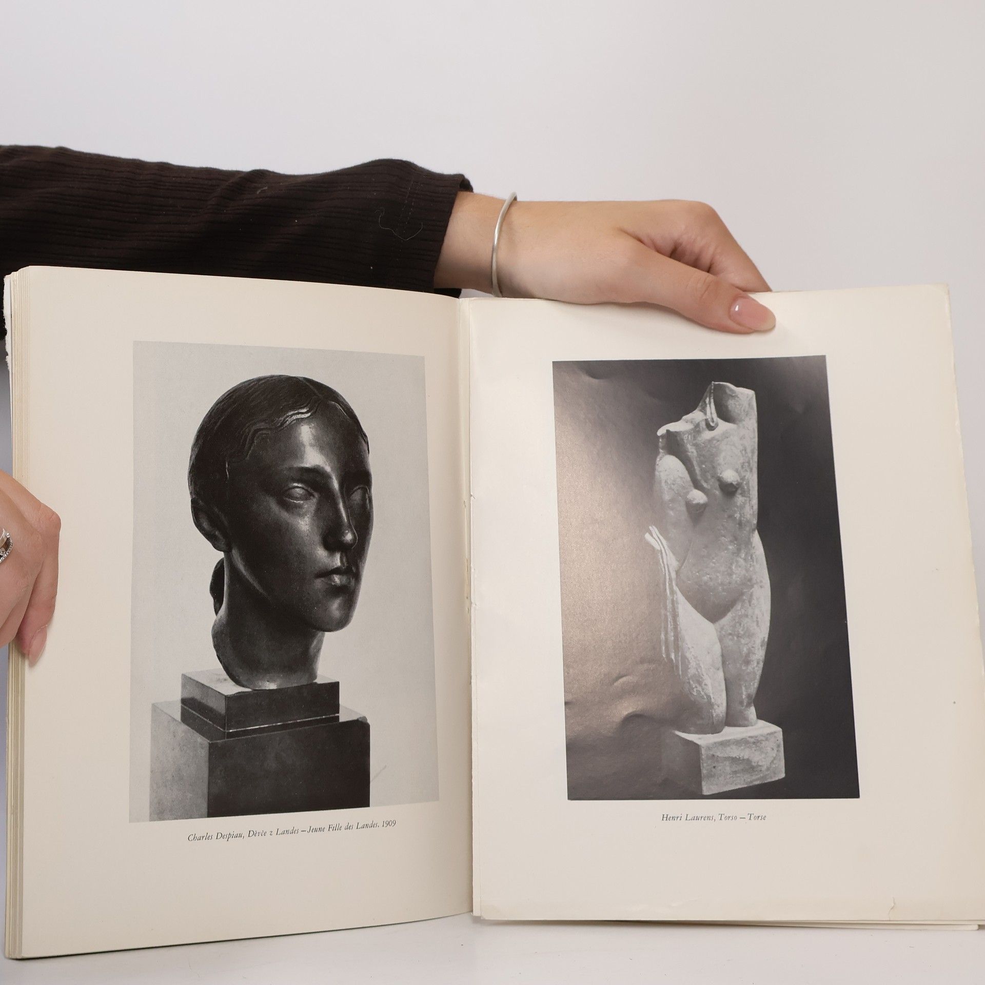 Jaromír Pečírka Od Rodina k Picassovi. Moderní Francouzské sochařství