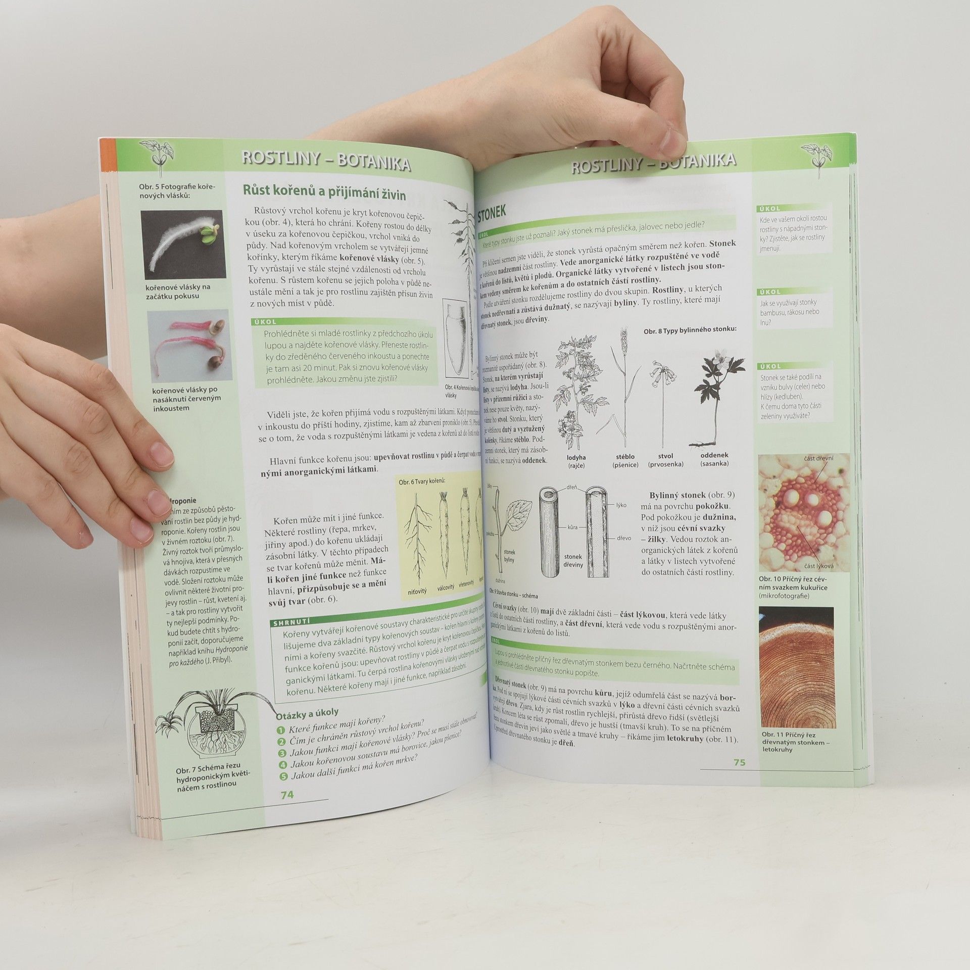 Autorenkollektiv Přírodopis 7. Zoologie a botanika pro základní školy