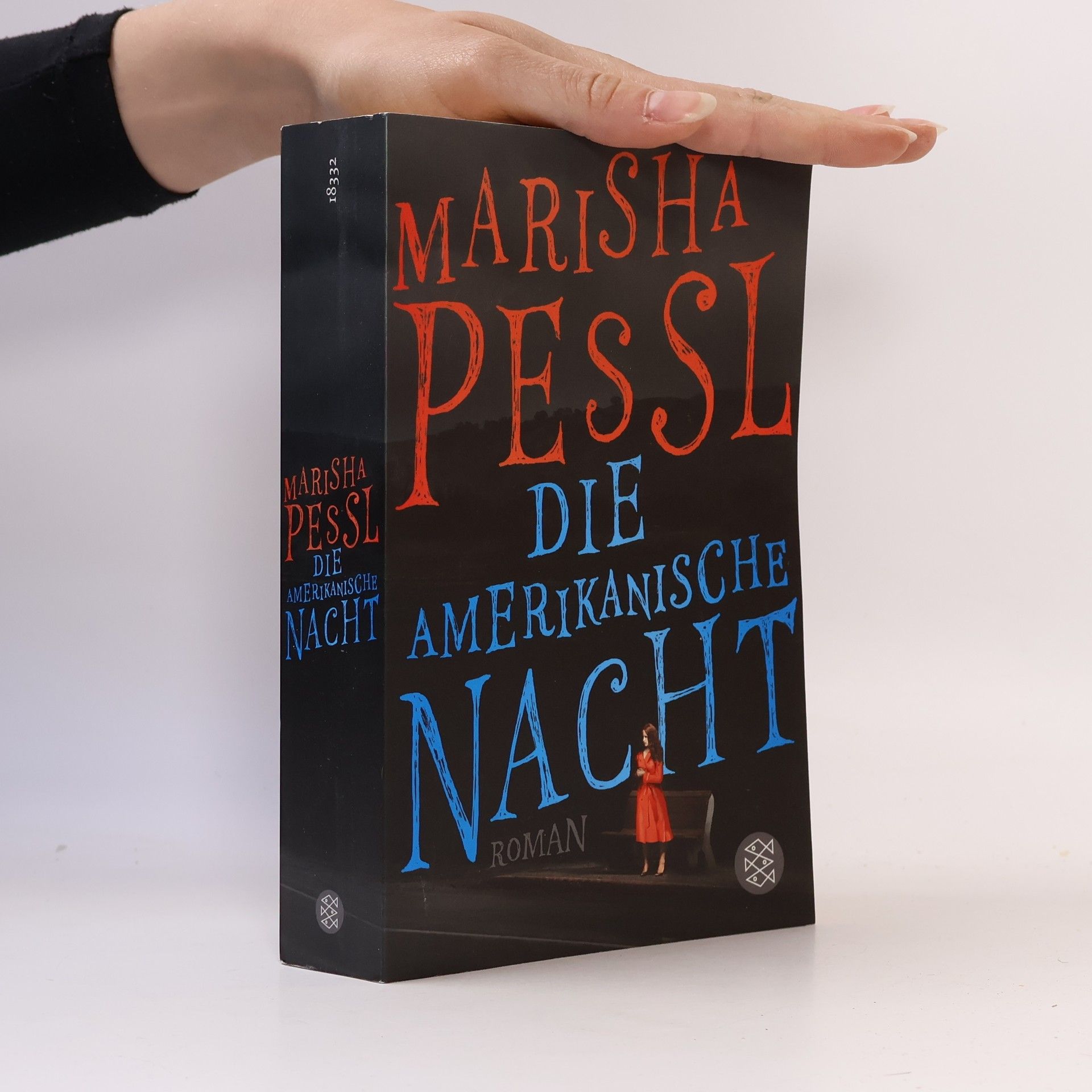 Marisha Pessl Die amerikanische Nacht