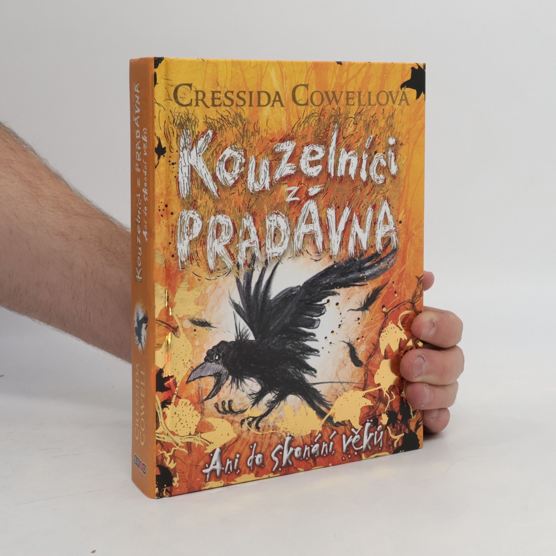 Cressida Cowell Ani do skonání věků