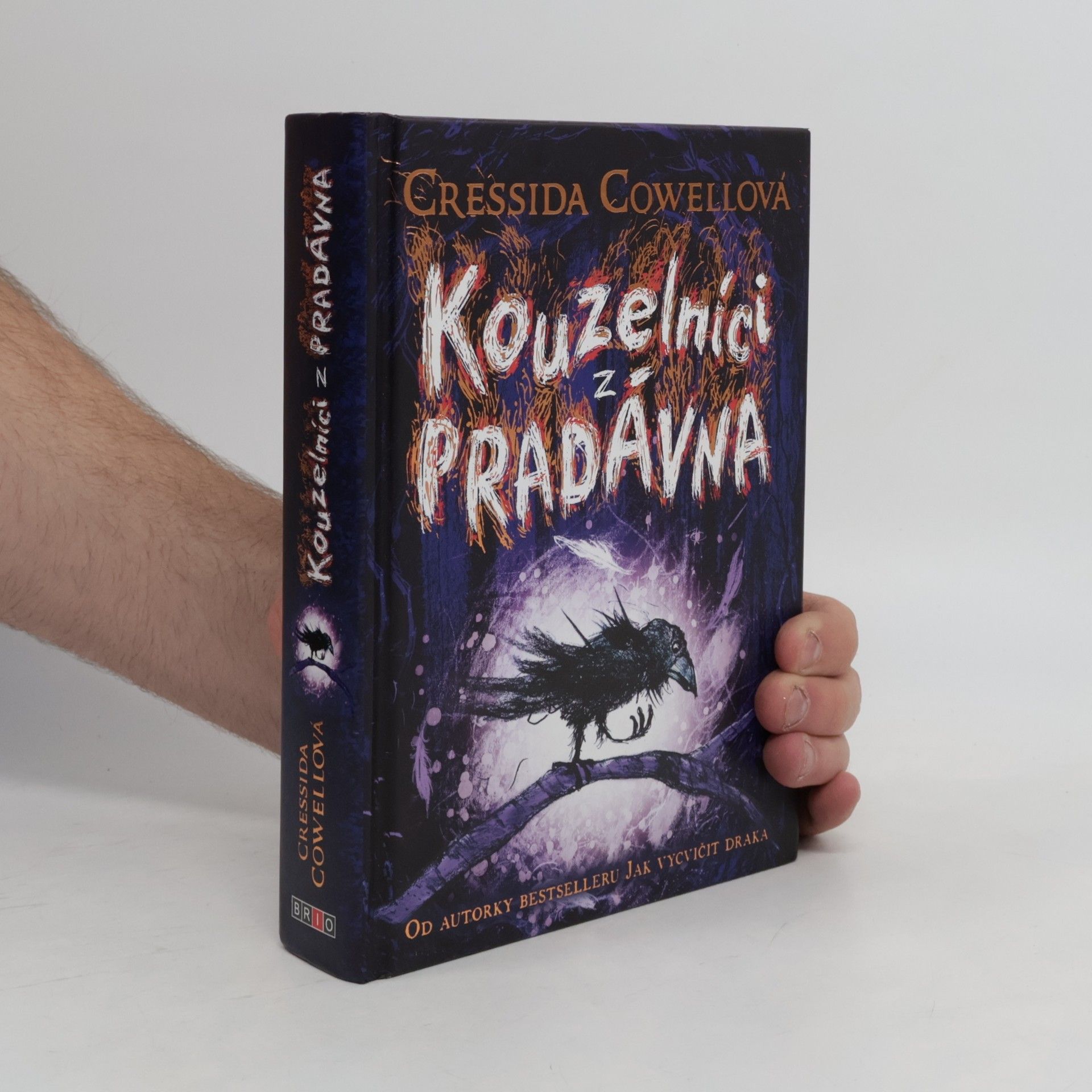 Cressida Cowell Kouzelníci z pradávna
