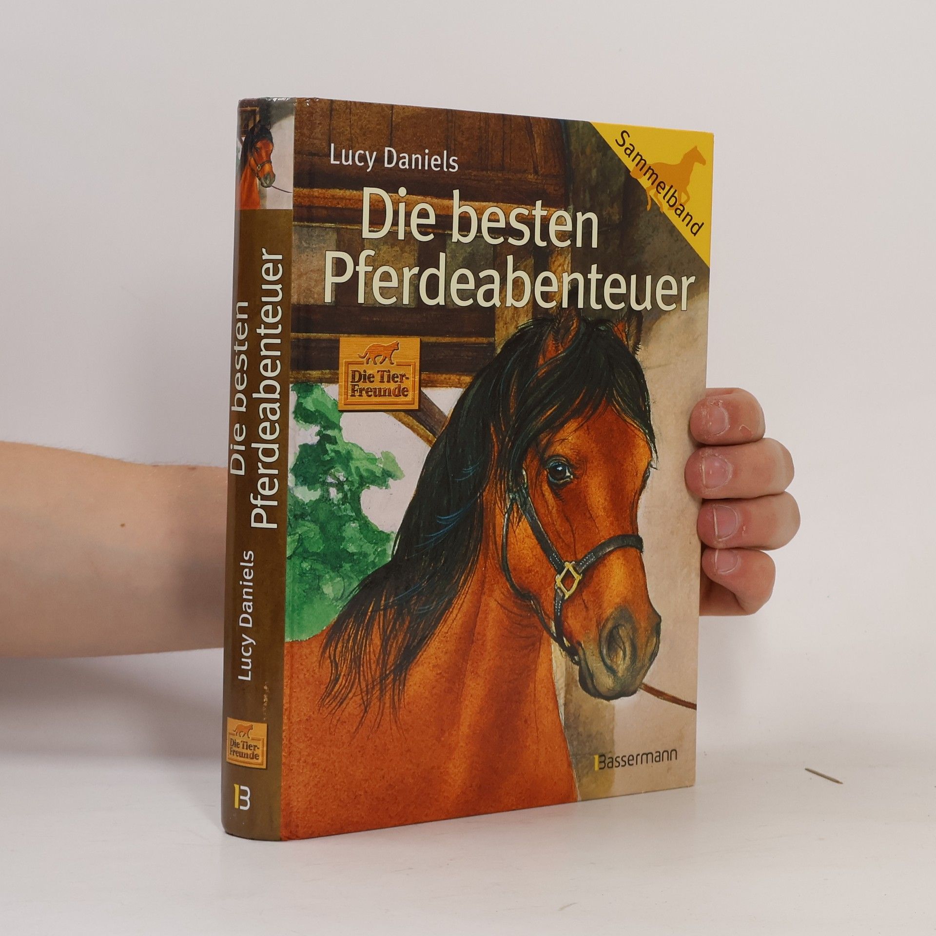 Lucy Daniels Die besten Pferdeabenteuer