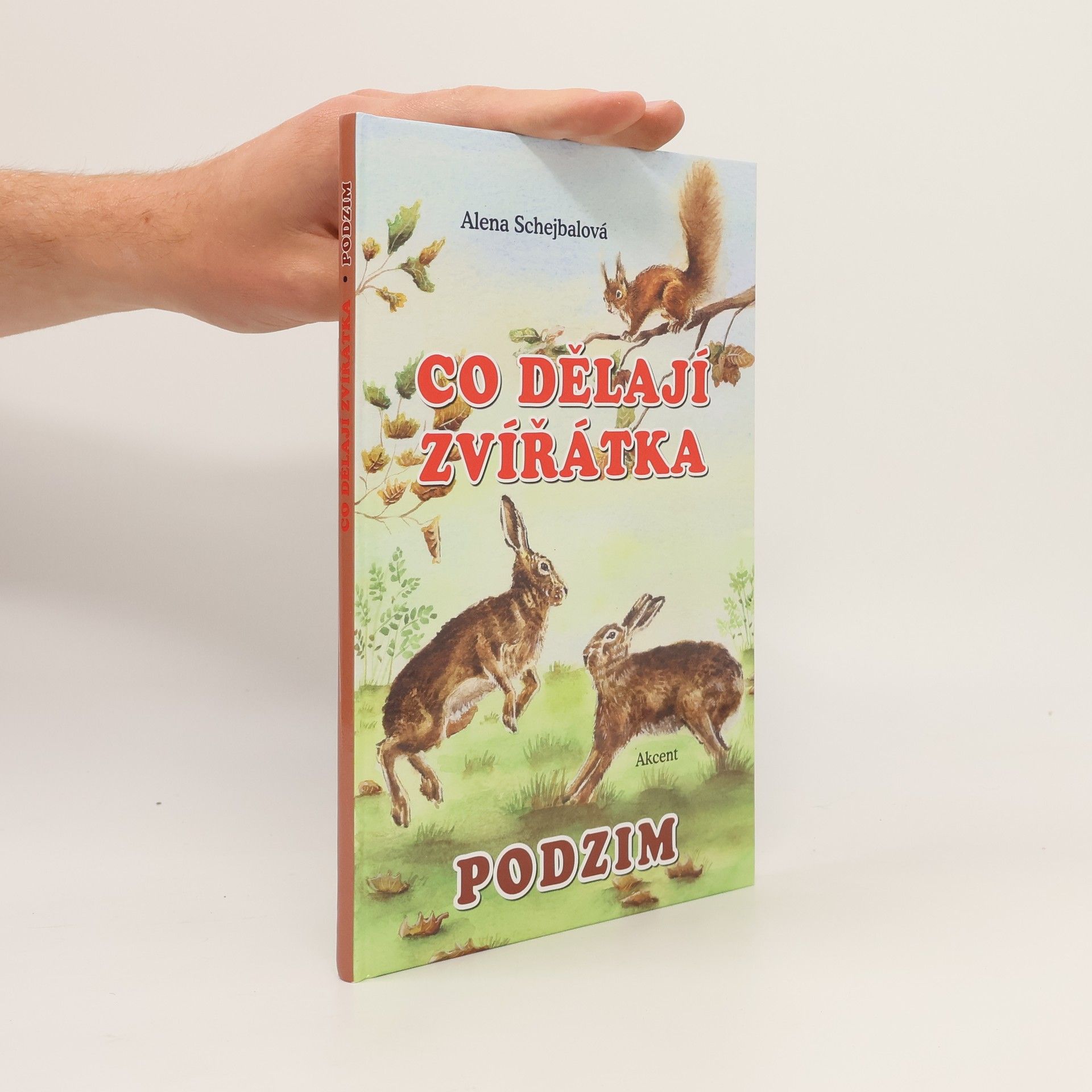 Co dělají zvířátka. Podzim