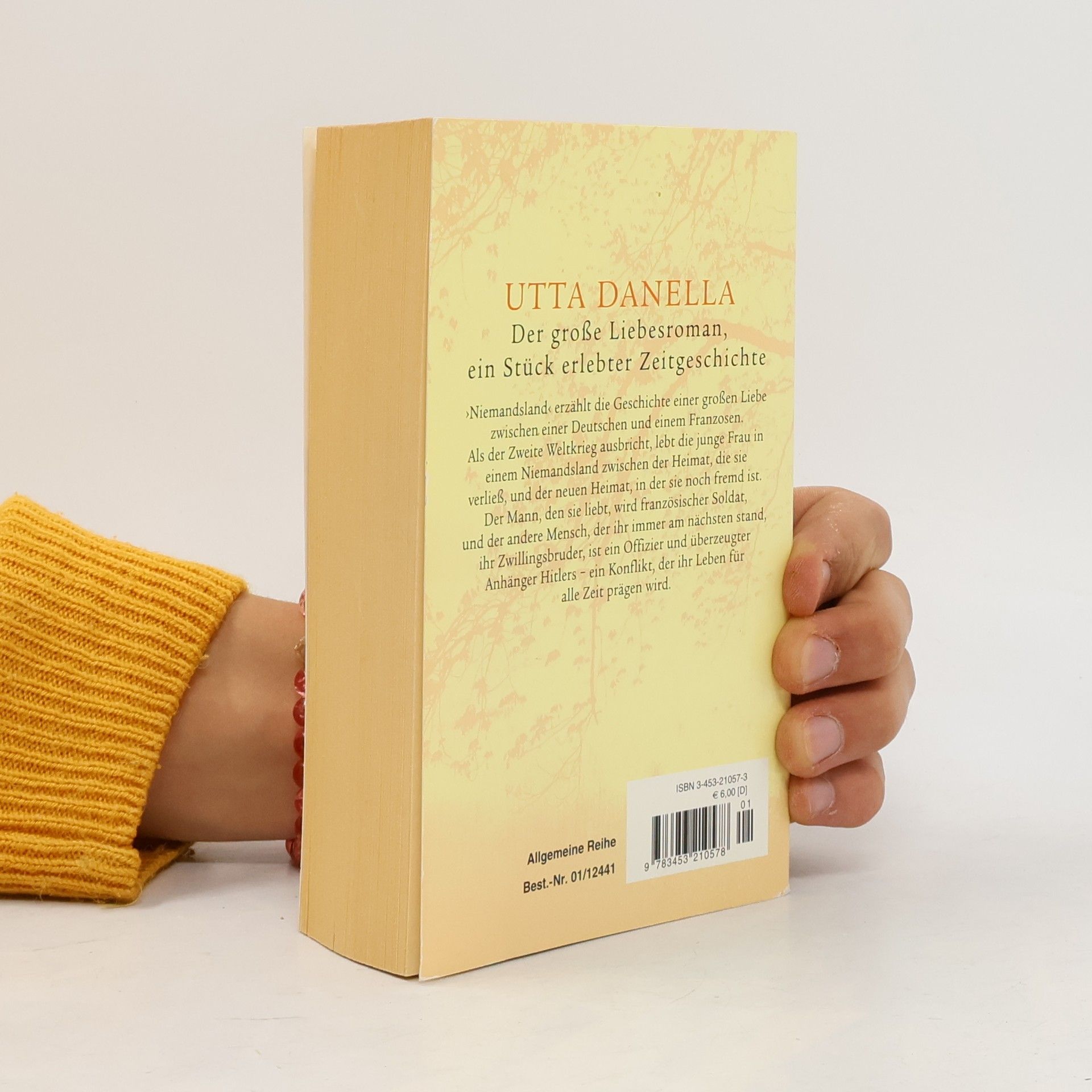 Utta Danella Niemandsland