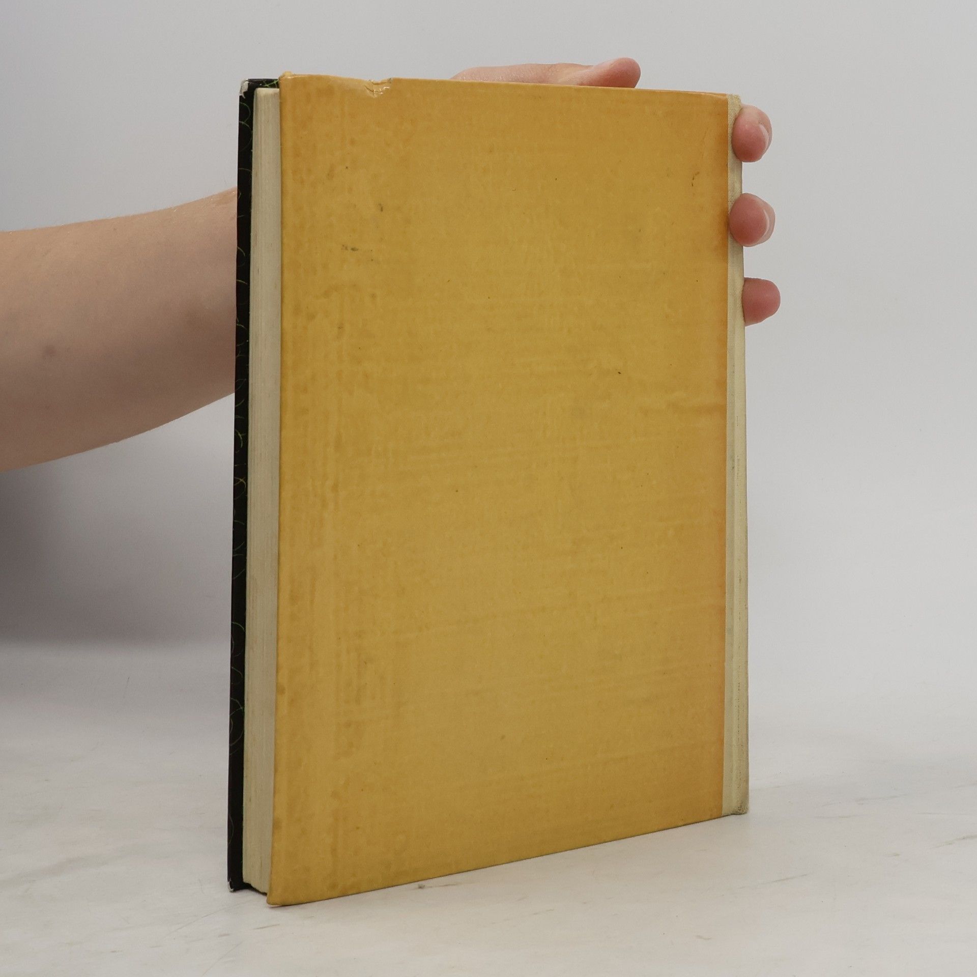Wilhelm Karl Grimm Mein Märchenbuch
