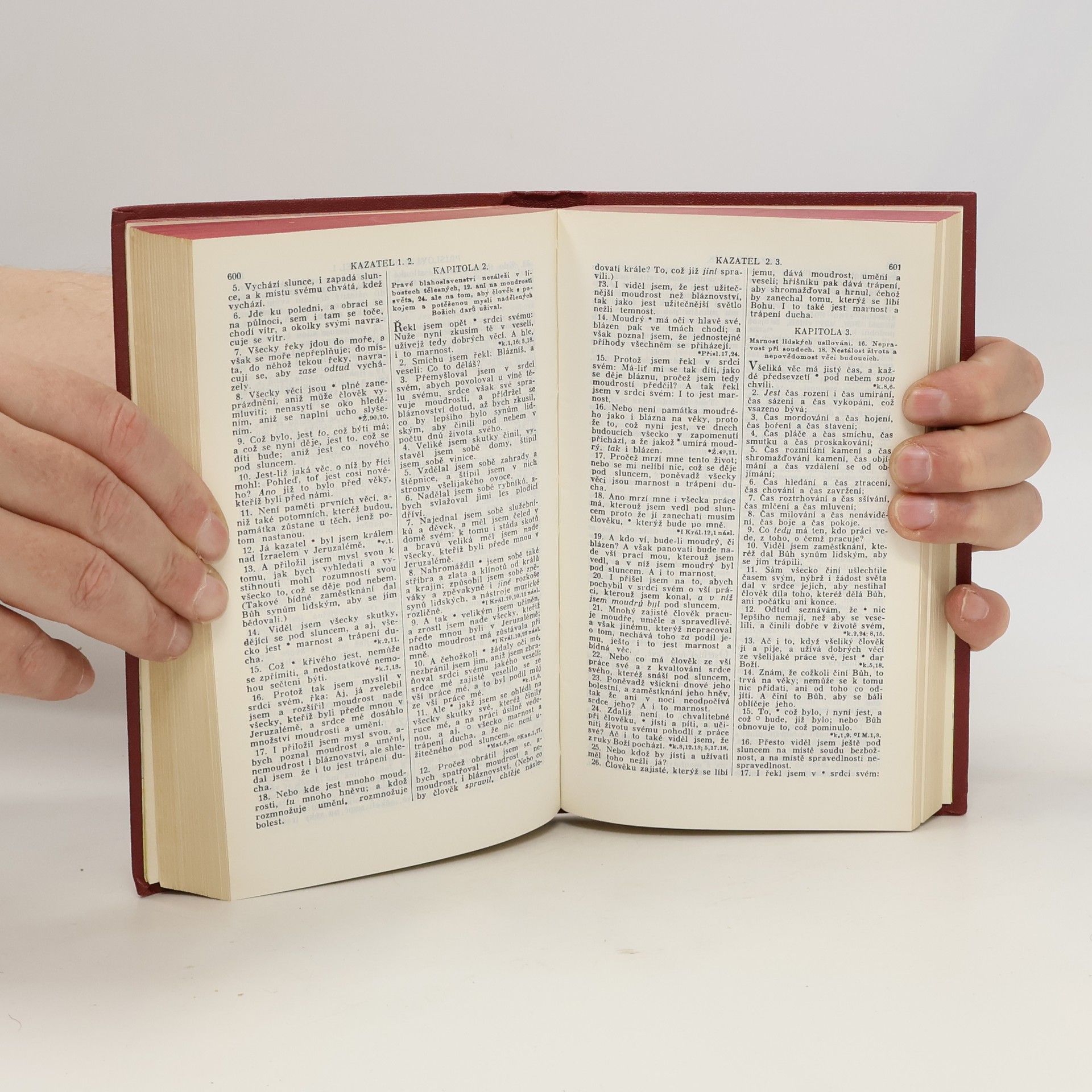 Kolektiv autorů Biblí svatá aneb Všecka svatá písma Starého i Nového zákona