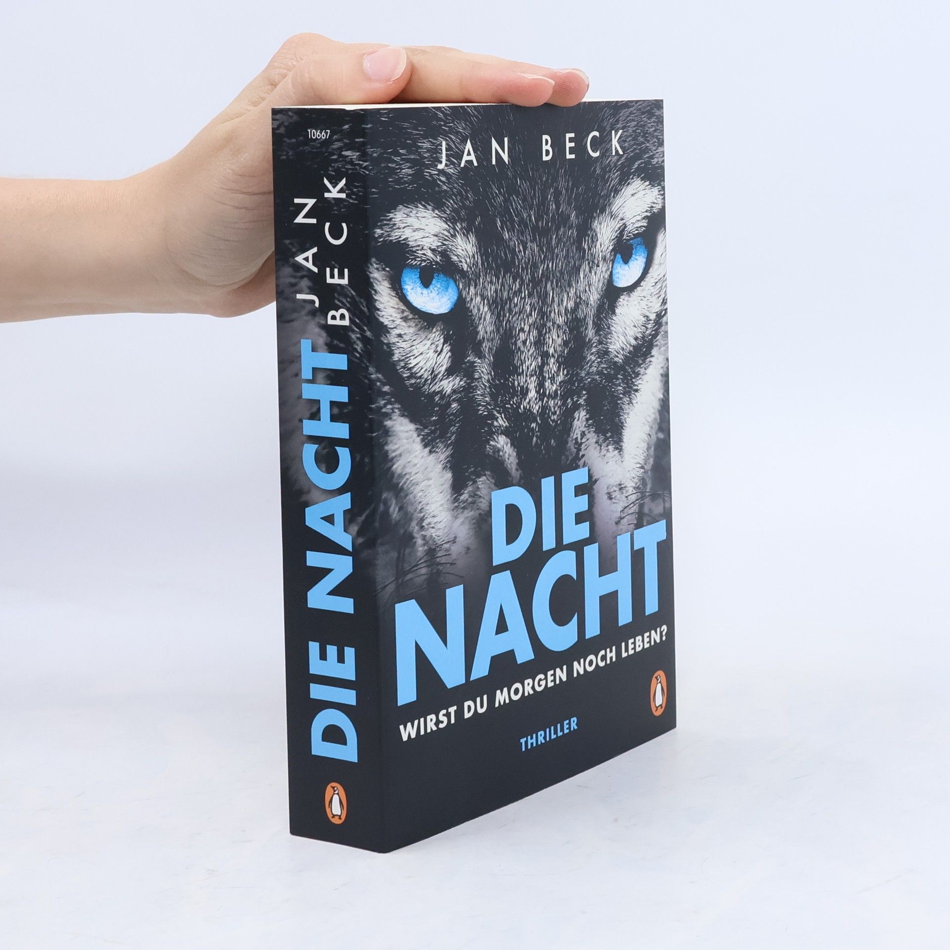 Jan Beck Die Nacht - wirst du morgen noch leben?