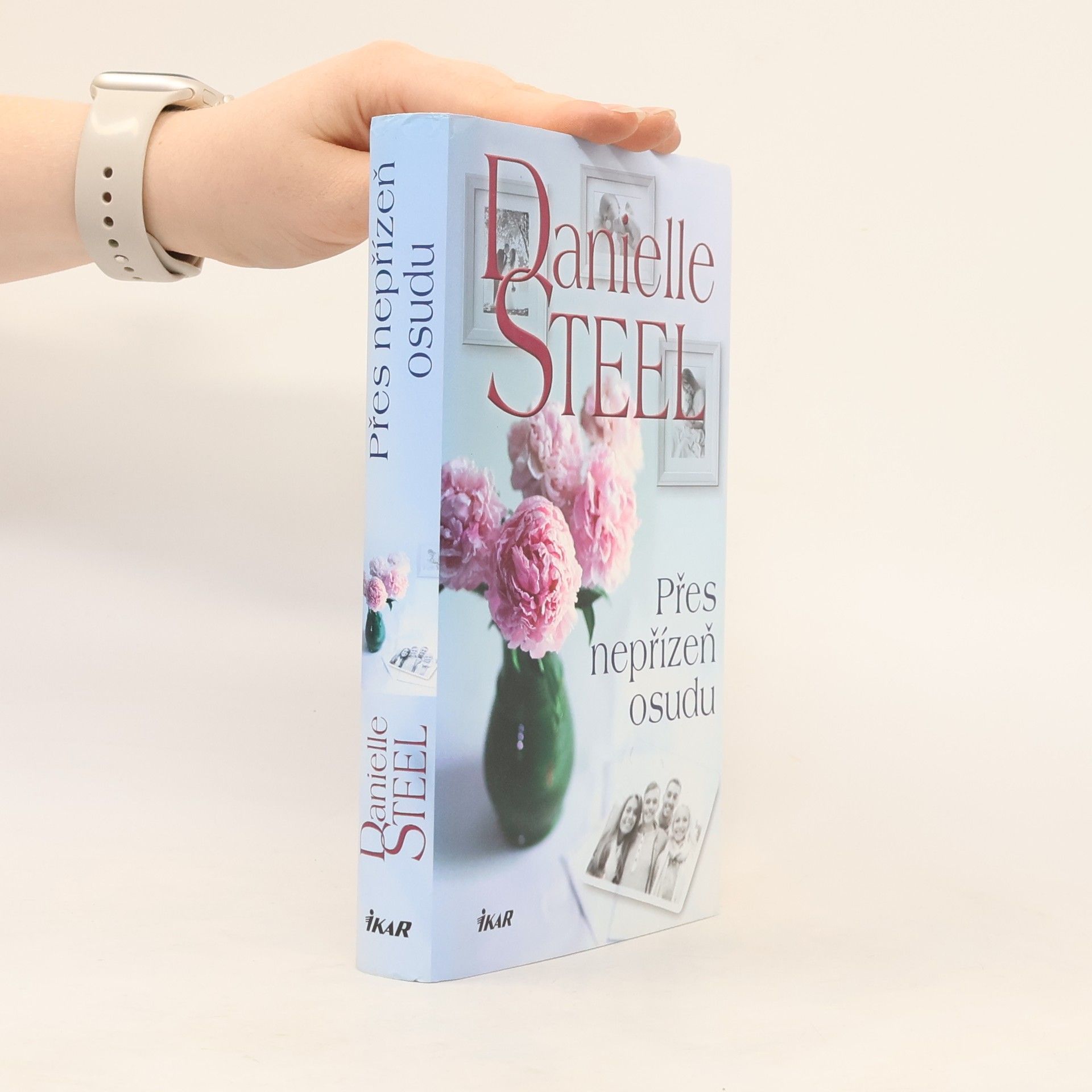 Danielle Steel Přes nepřízeň osudu