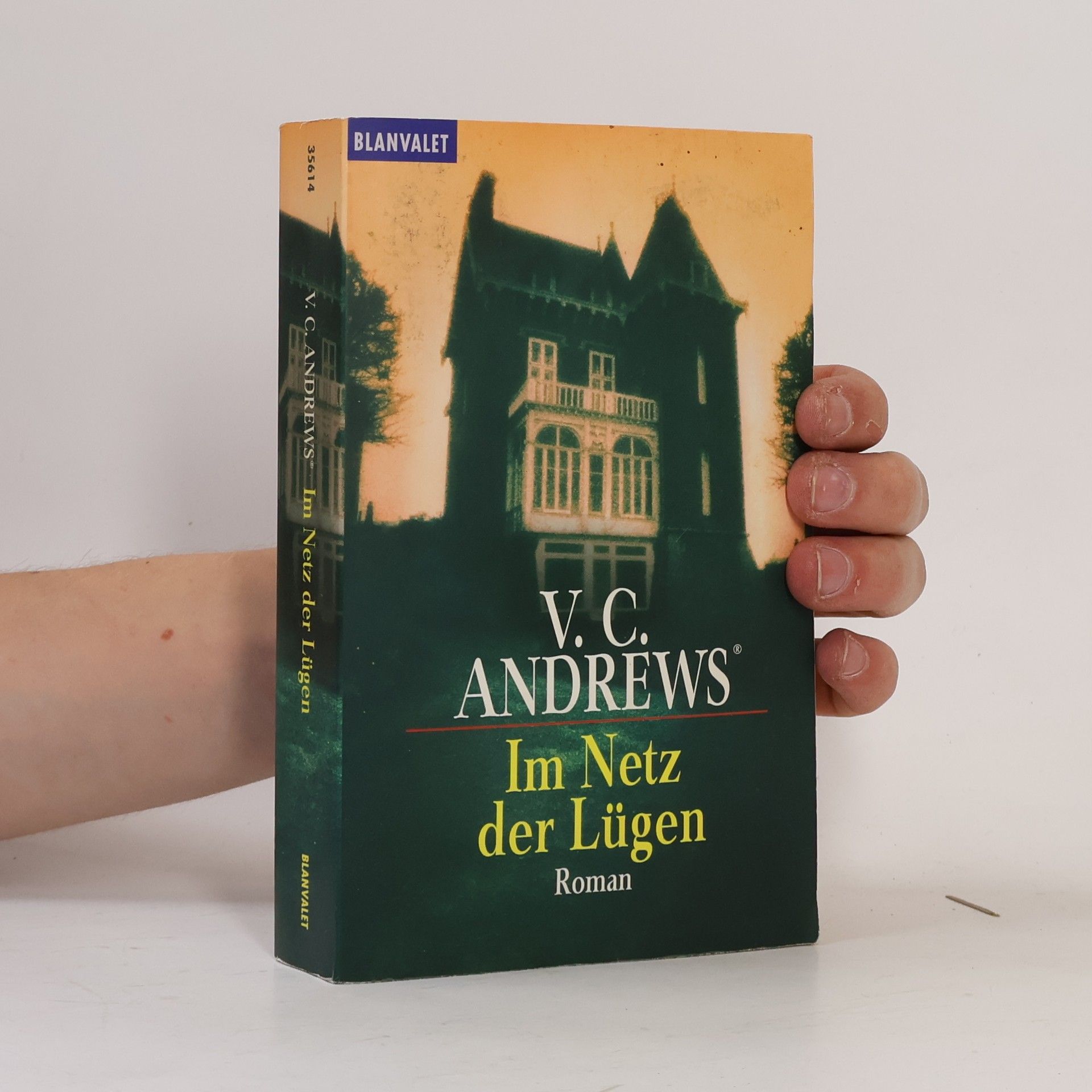 V. C. Andrews Im Netz der Lügen