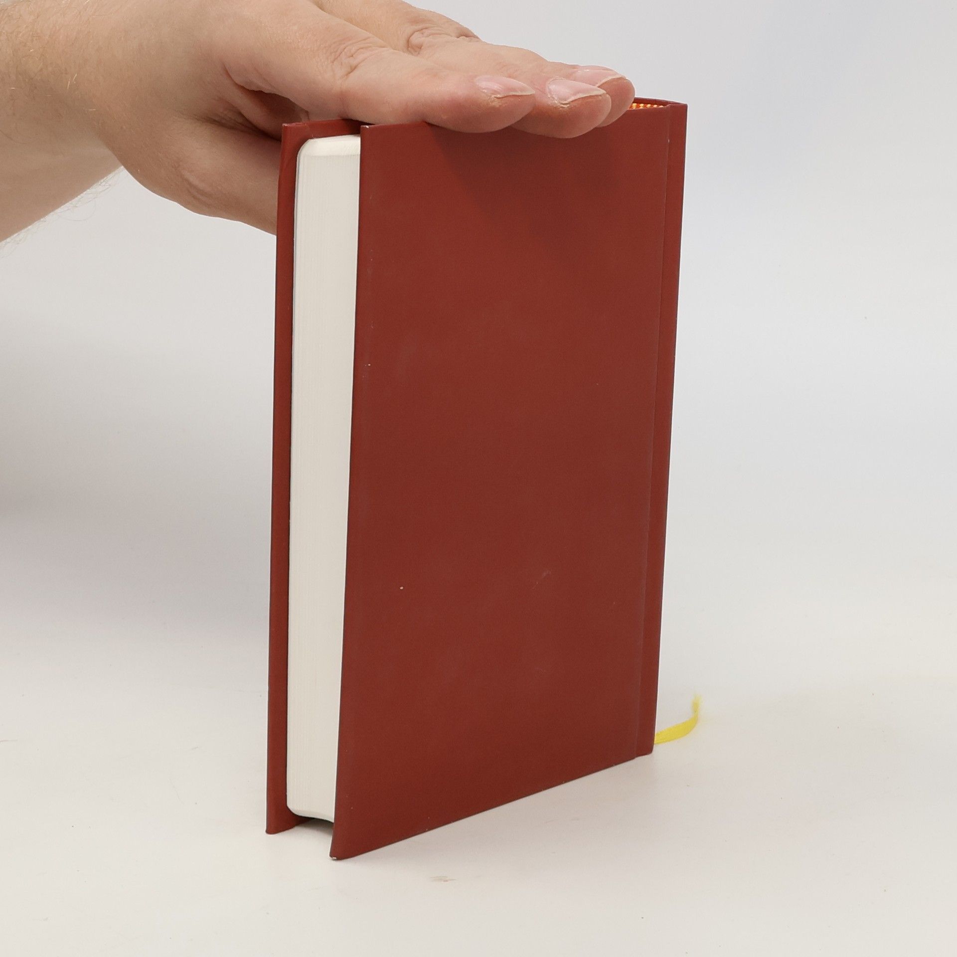 Various authors Nový zákon s podrobnými výkladovými poznámkami