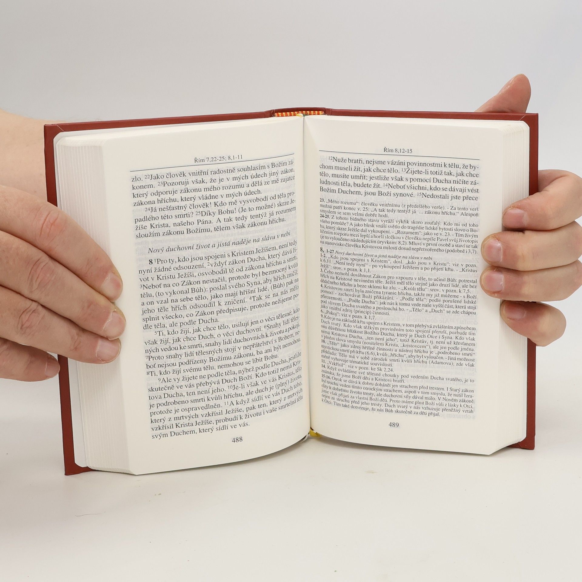 Various authors Nový zákon s podrobnými výkladovými poznámkami