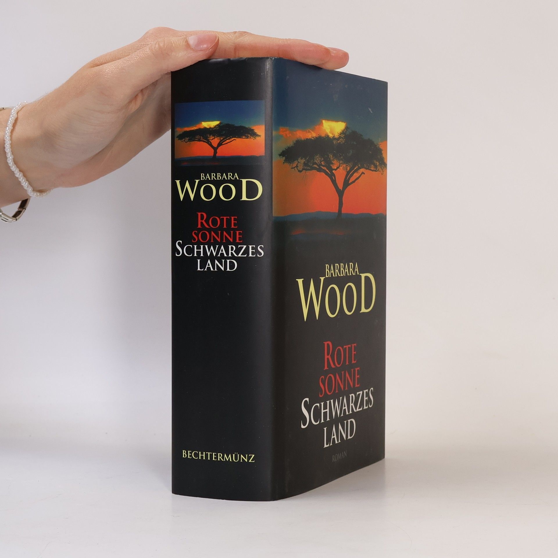 Barbara Wood Rote Sonne, schwarzes Land