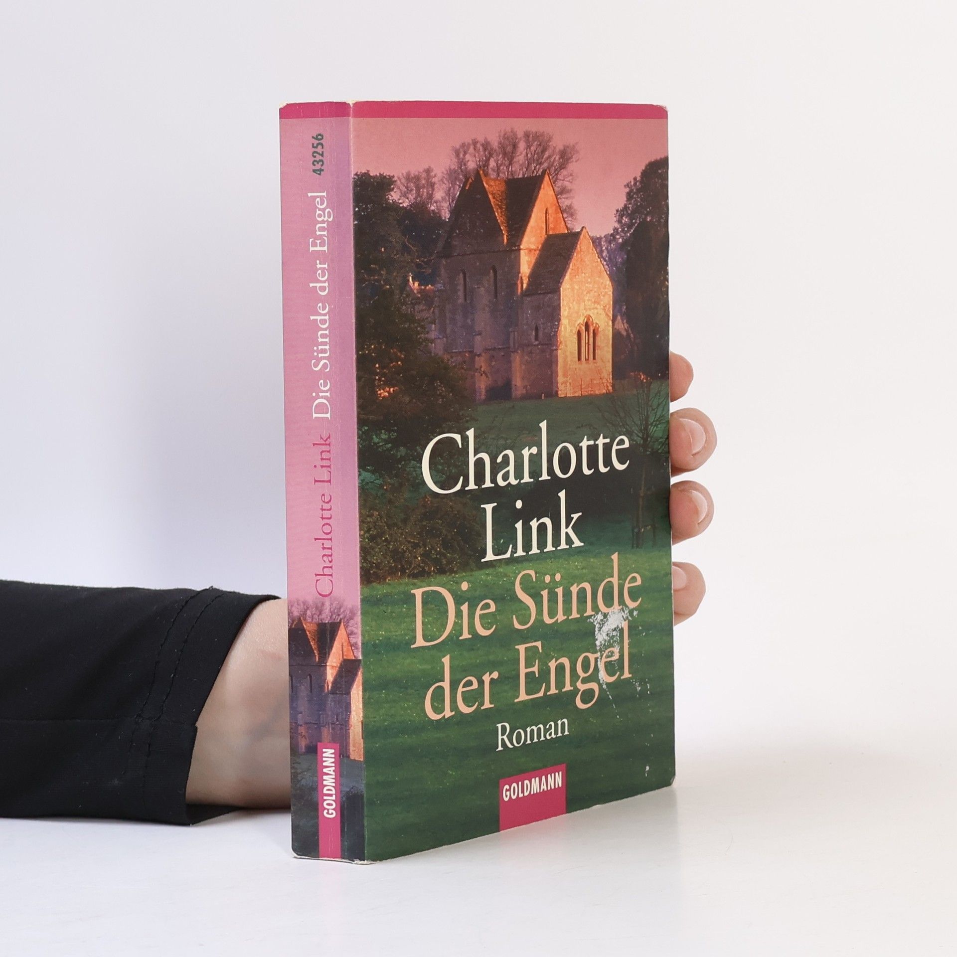 Charlotte Link Die Sünde der Engel
