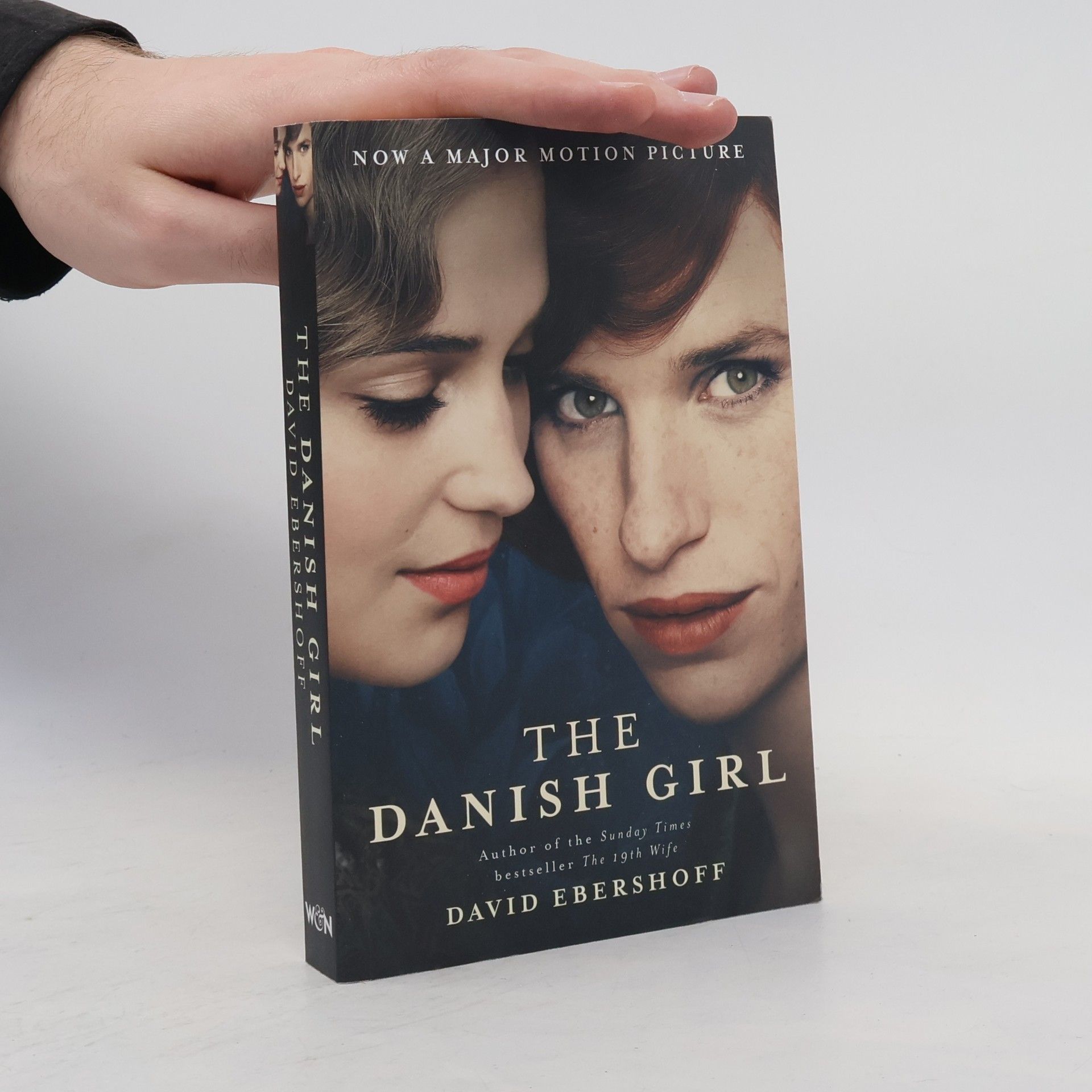 David Ebershoff The Danish girl